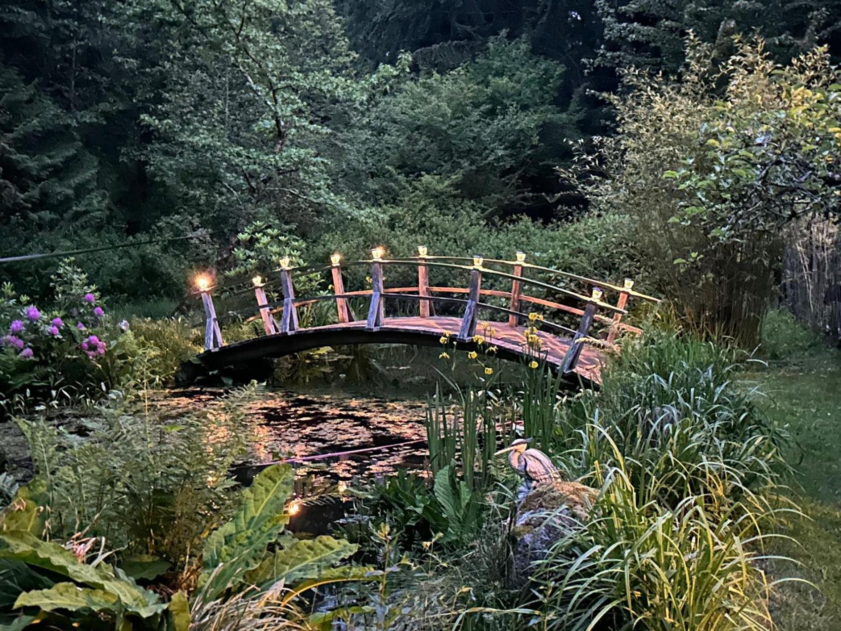 Monet's Pond by the Sea