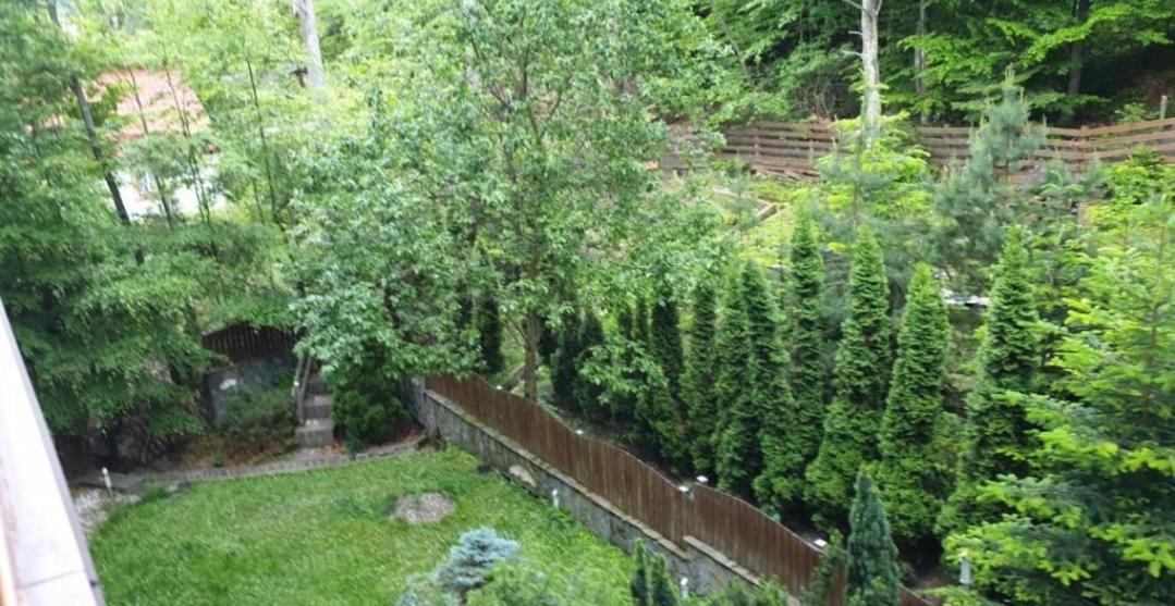 George Apartament Central cu gradina proprie view 4