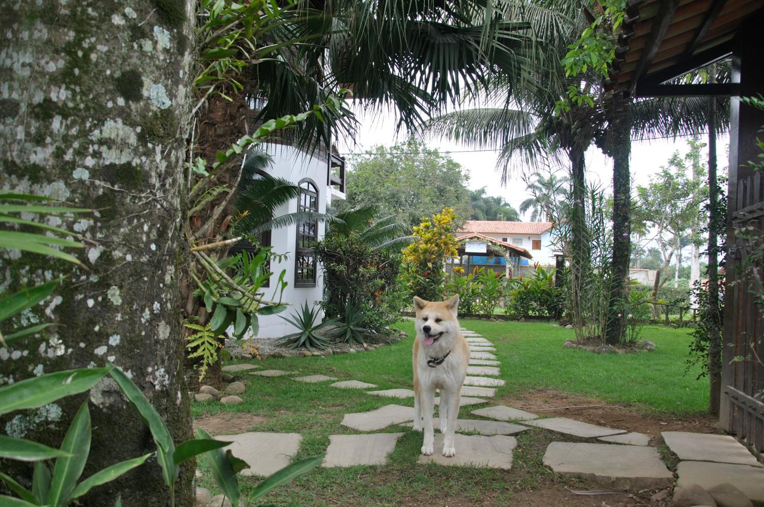 Photo 29