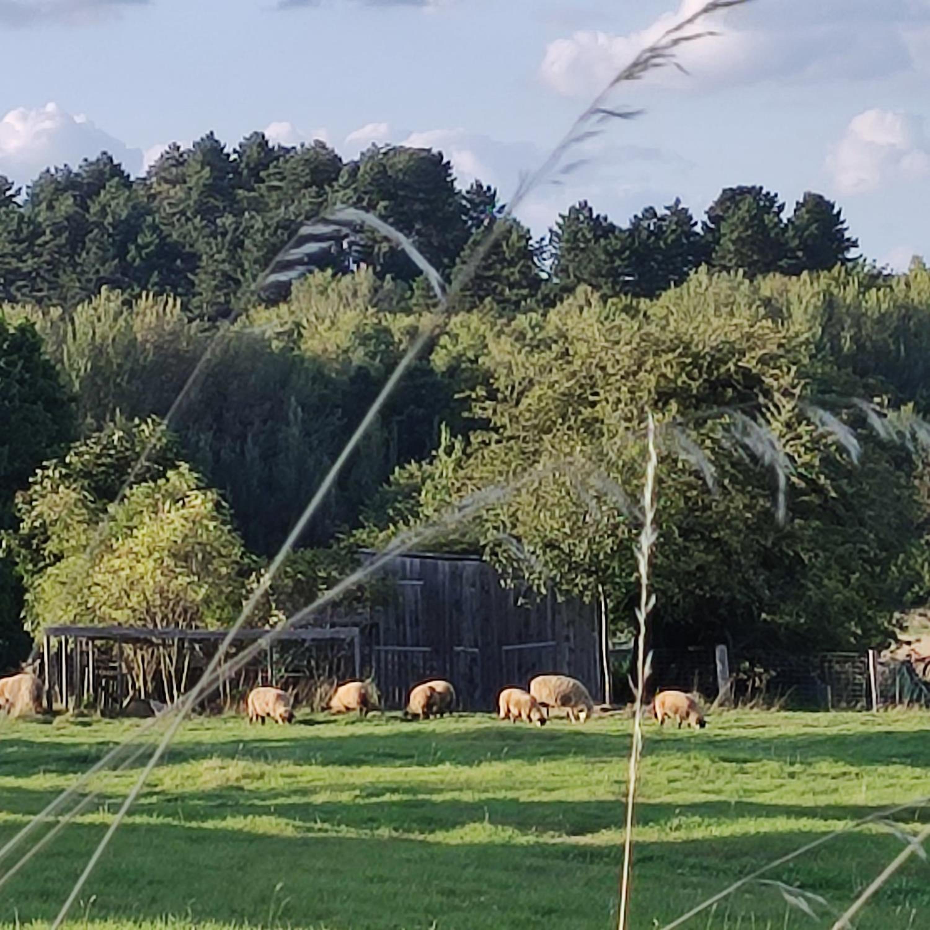 Gästehaus Familie Rinke