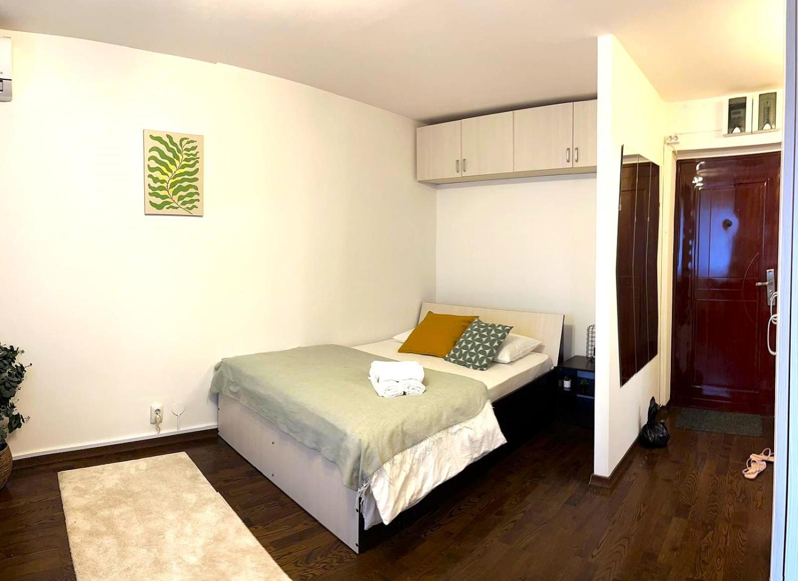 Studio Victoriei - Central Location with AC