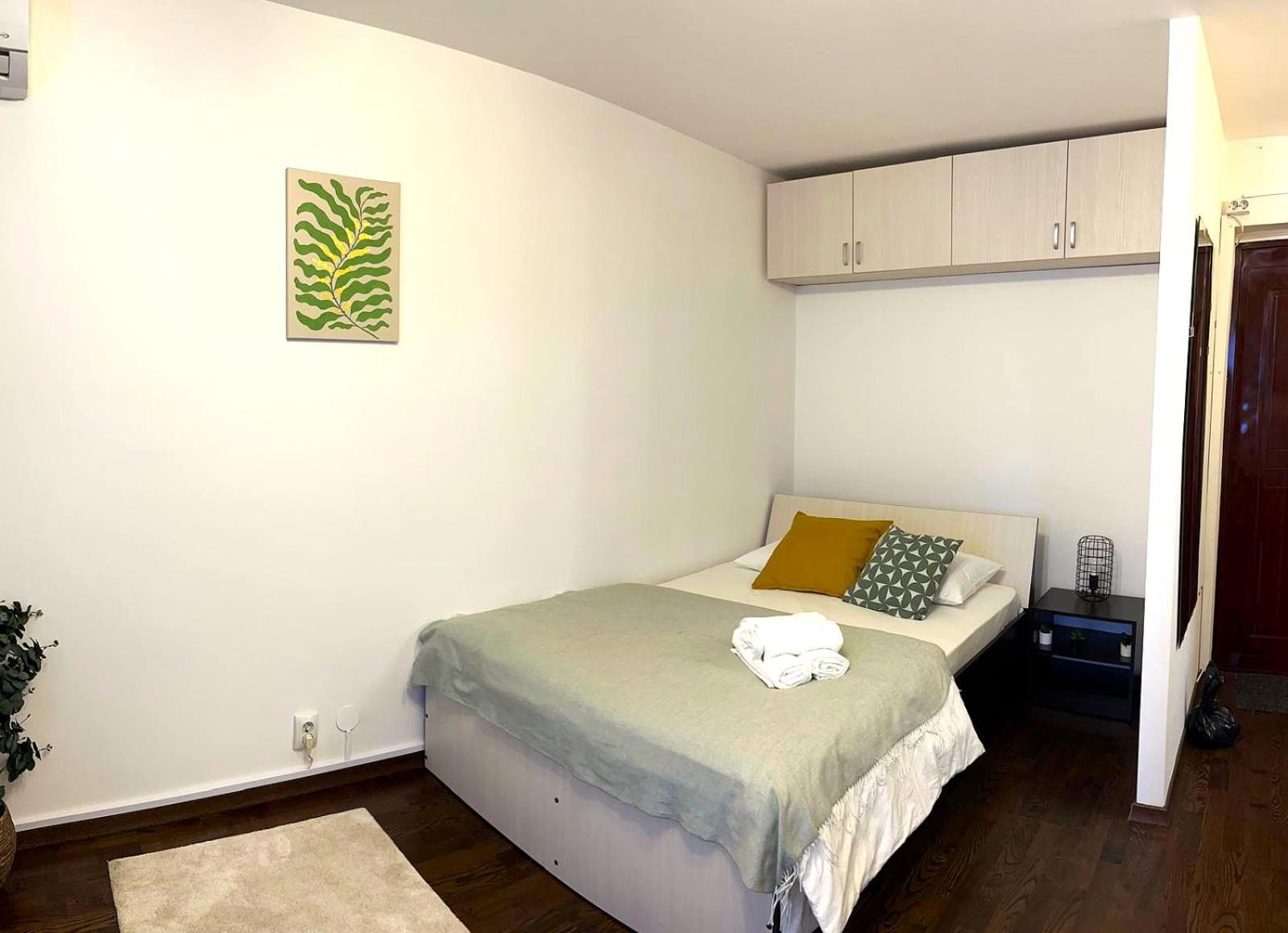 Studio Victoriei - Central Location with AC