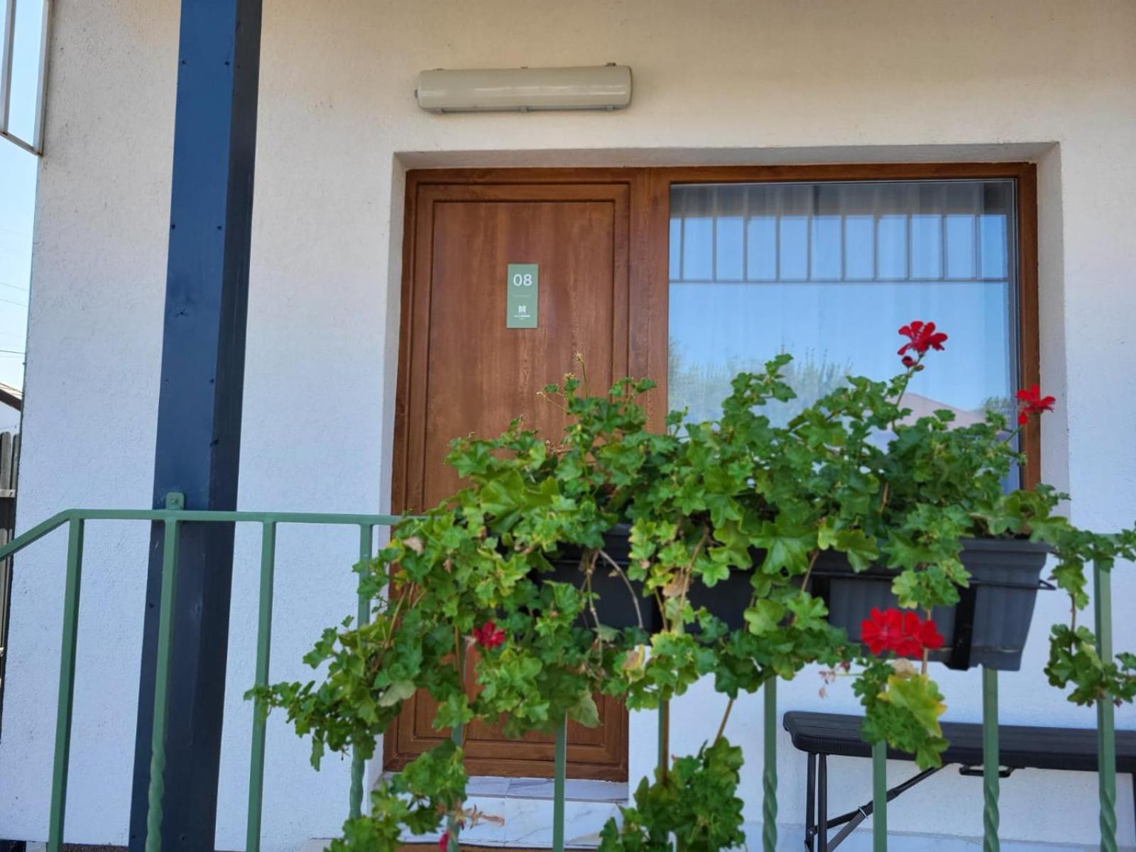 Casa Novis