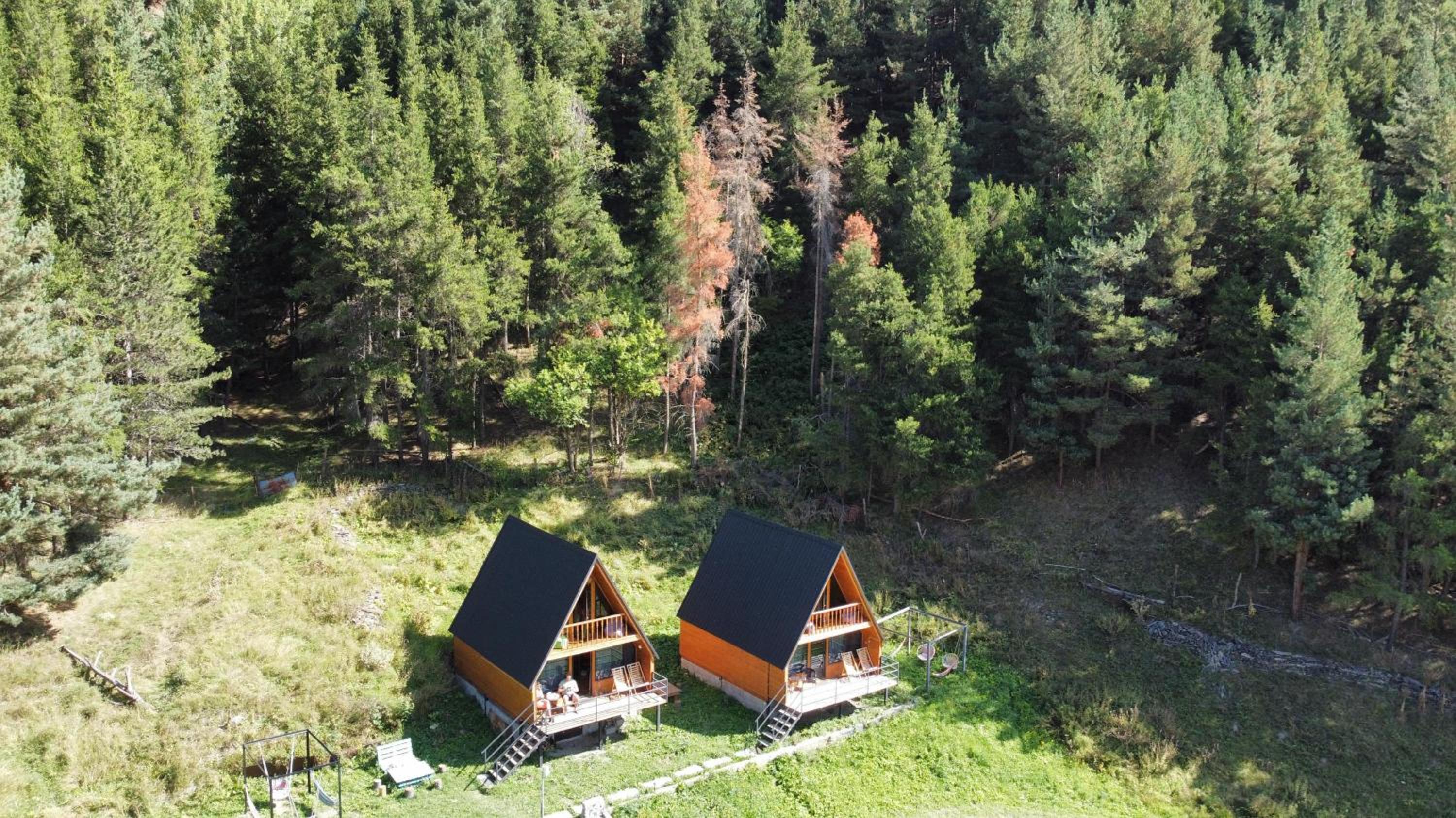 Sno Woodland