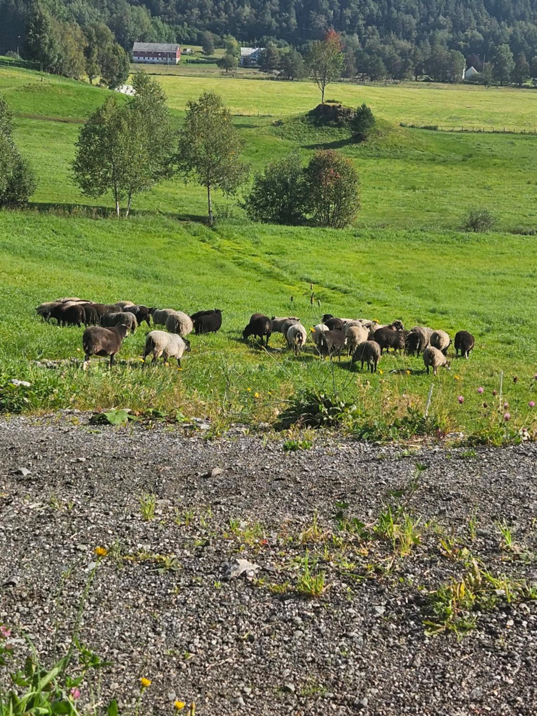Gårdsidyll i flotte omgivelser