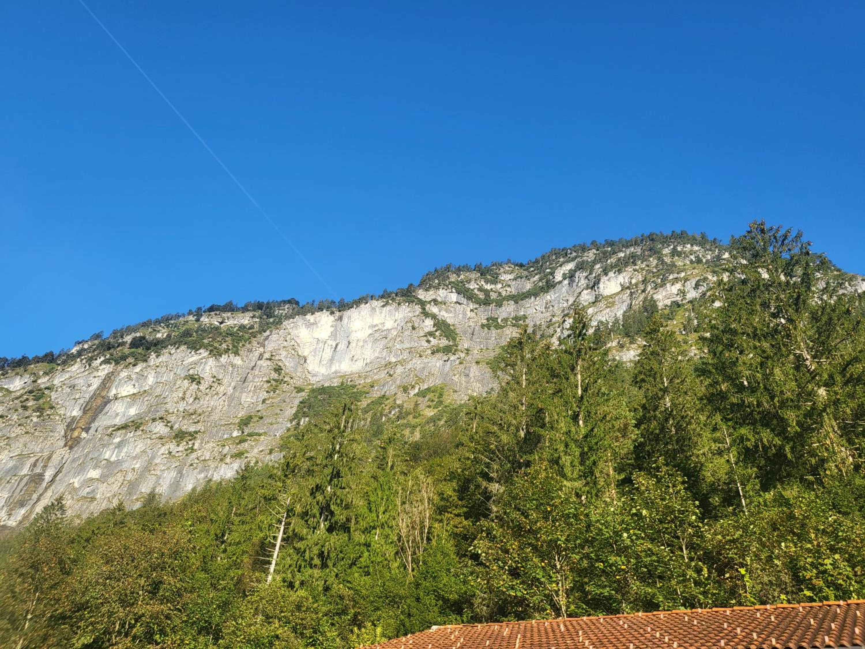 Nickis Bergcamp