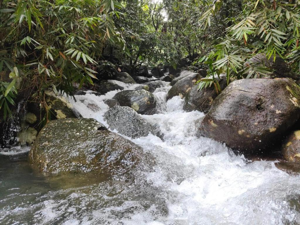 Oshi Villa - Ellagawa, Ingiriya - Eco Lodge view 3
