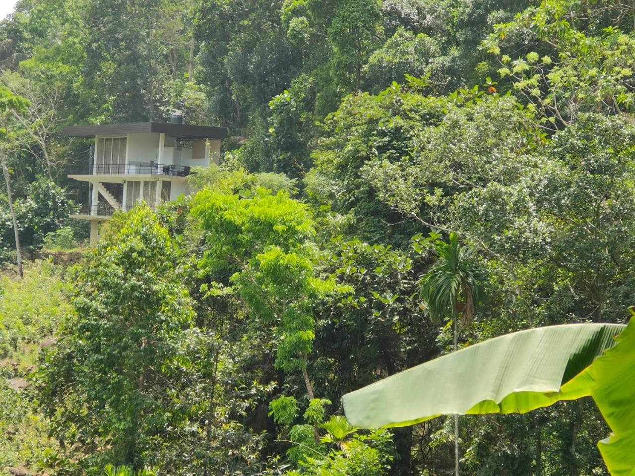 Oshi Villa - Ellagawa, Ingiriya - Eco Lodge view 4
