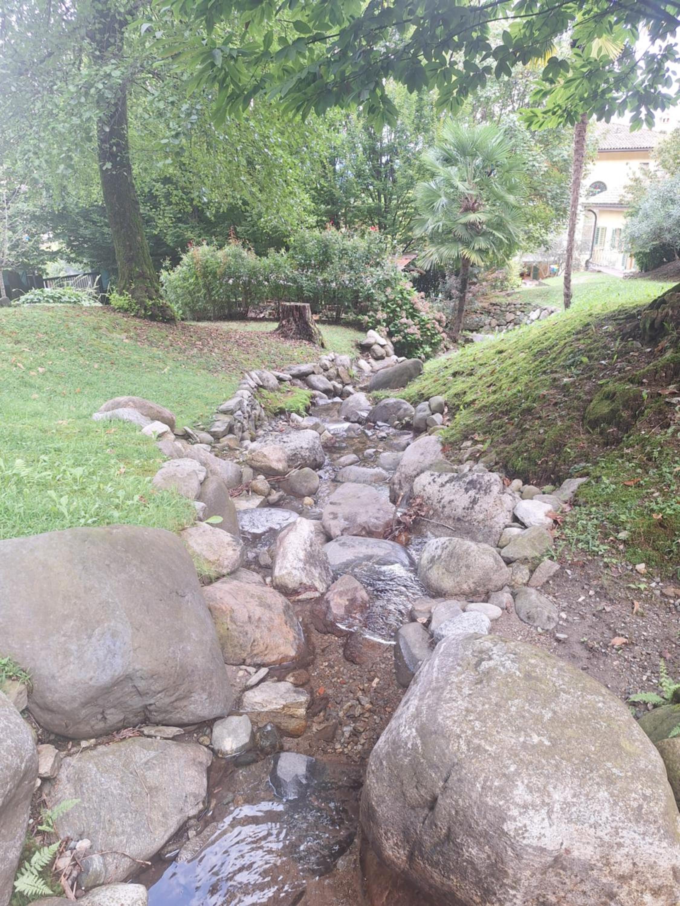 Photo 37