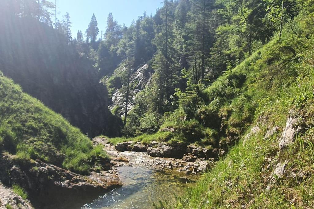 Romantisches Alpenchalet - mit Sauna und Kamin - ruhig und zentral