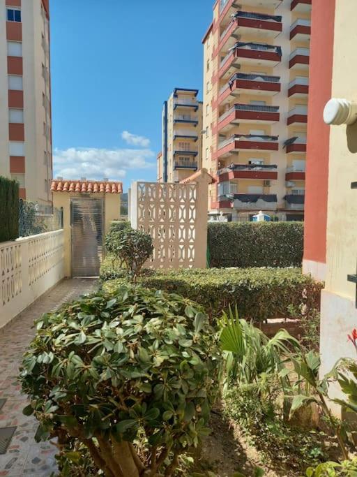 Apartamento Playa Gandía photo 2