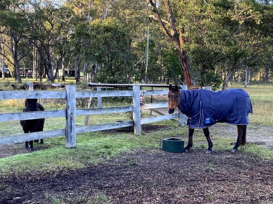 Cozy Barn, Farm stay, Watagans views, Rustic charm