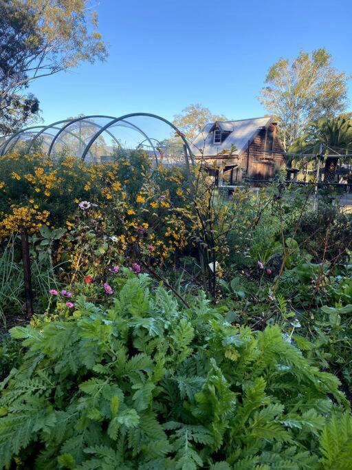Cozy Barn, Farm stay, Watagans views, Rustic charm