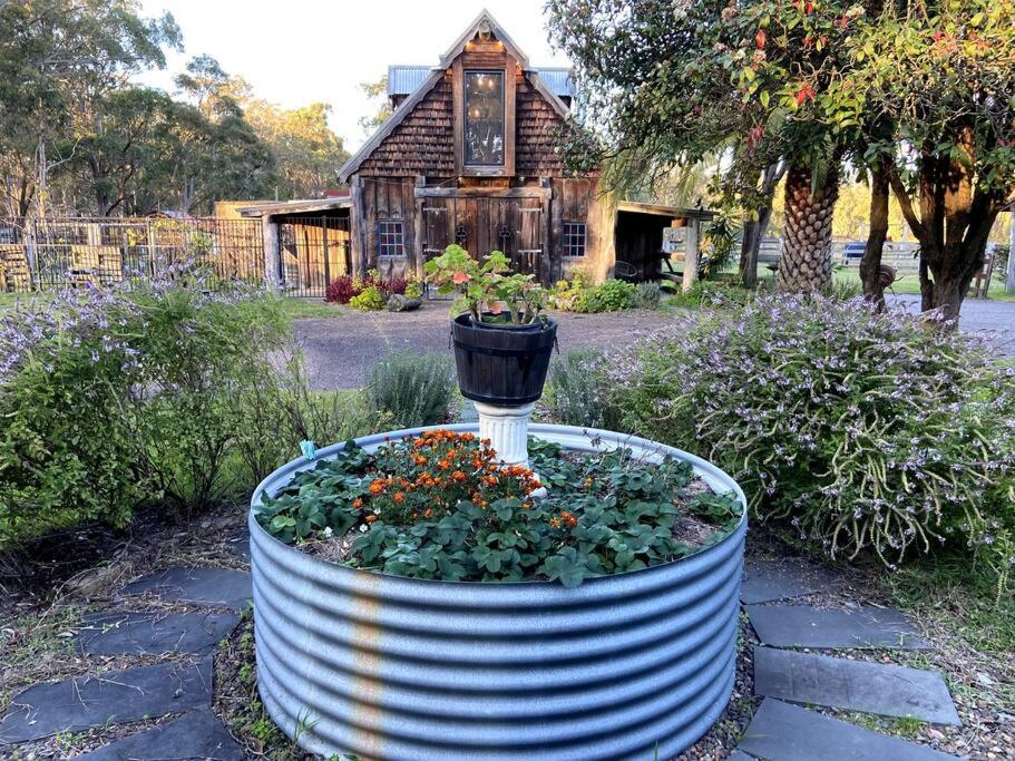 Cozy Barn, Farm stay, Watagans views, Rustic charm