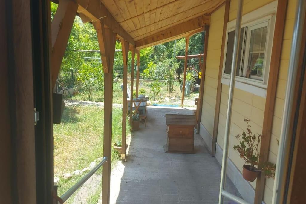 Photo 17