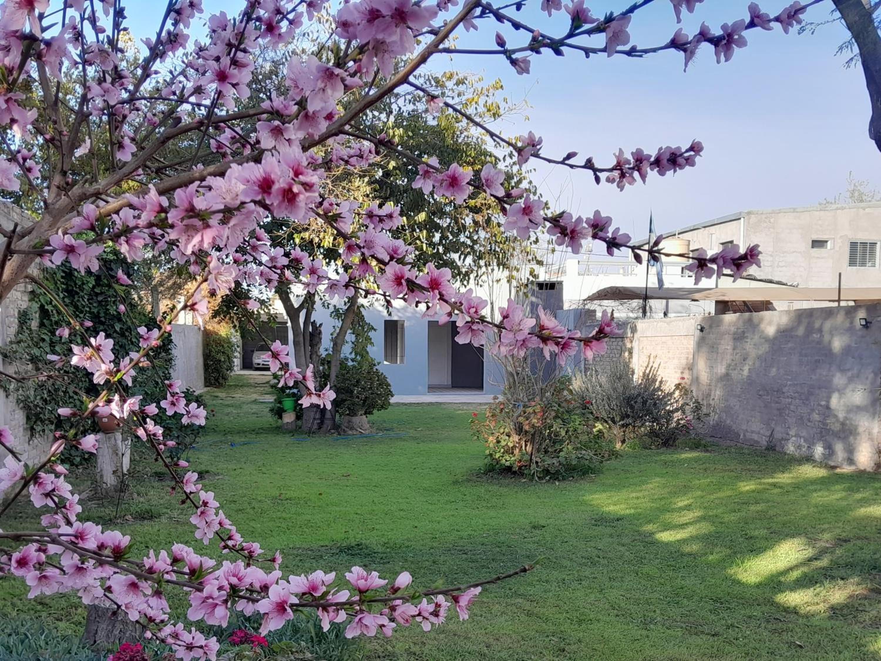 La casa de Flor