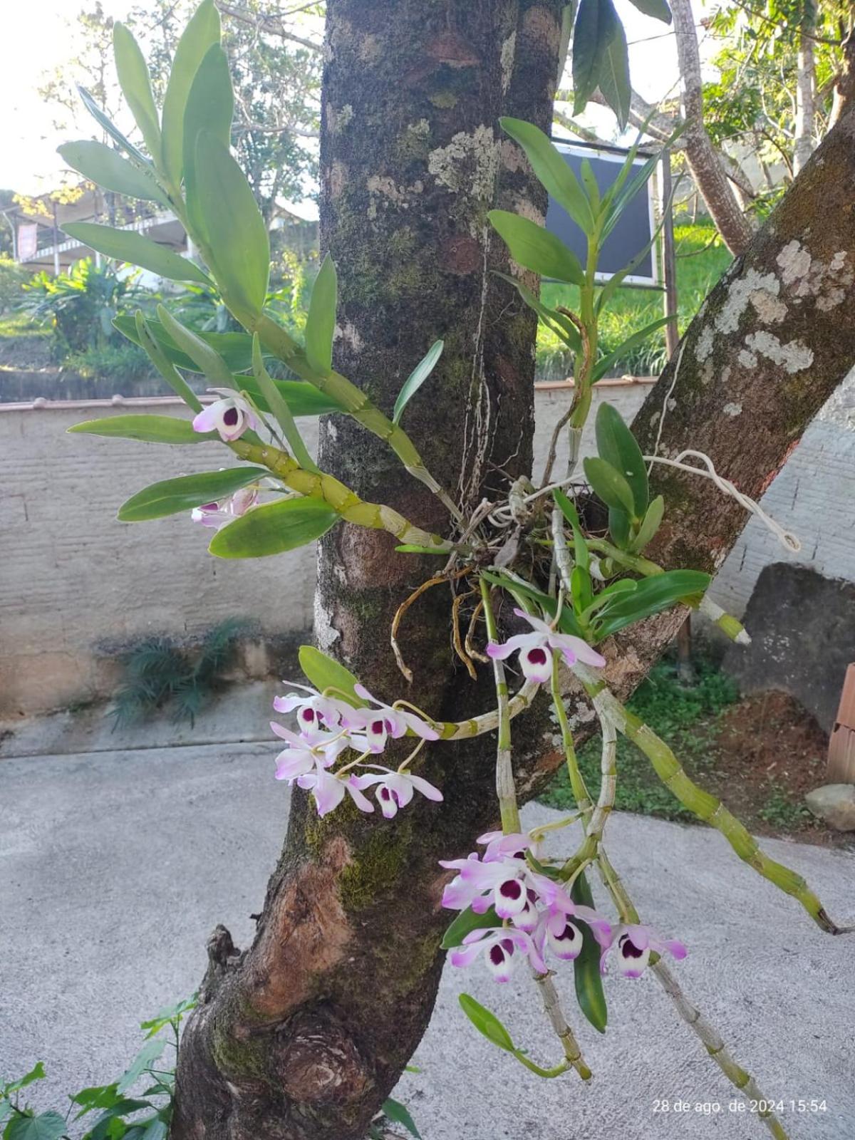Cantinho do Vale Pousada