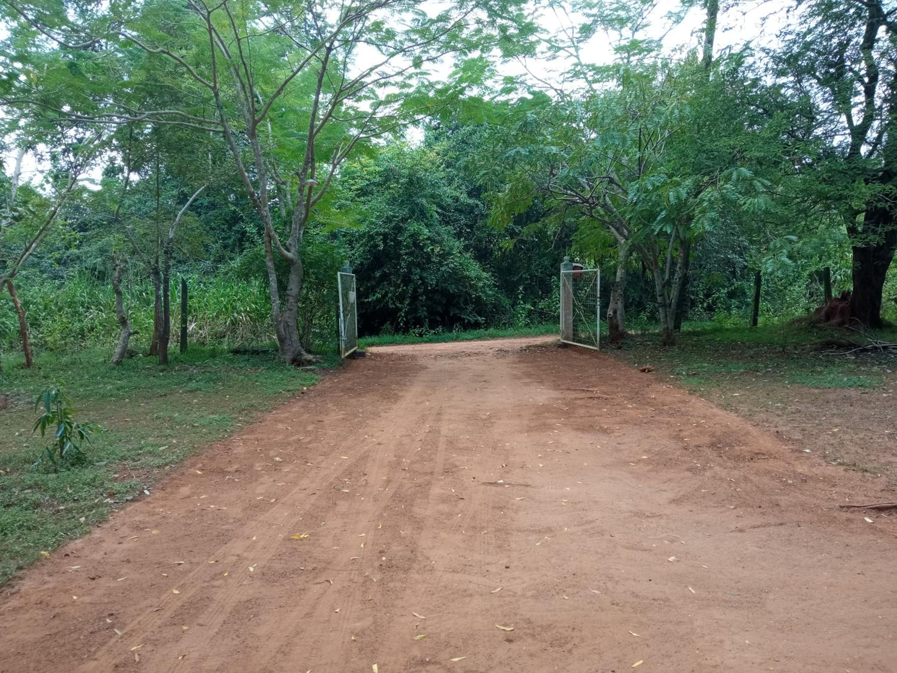 Park view Bungalow Wilpattu view 3
