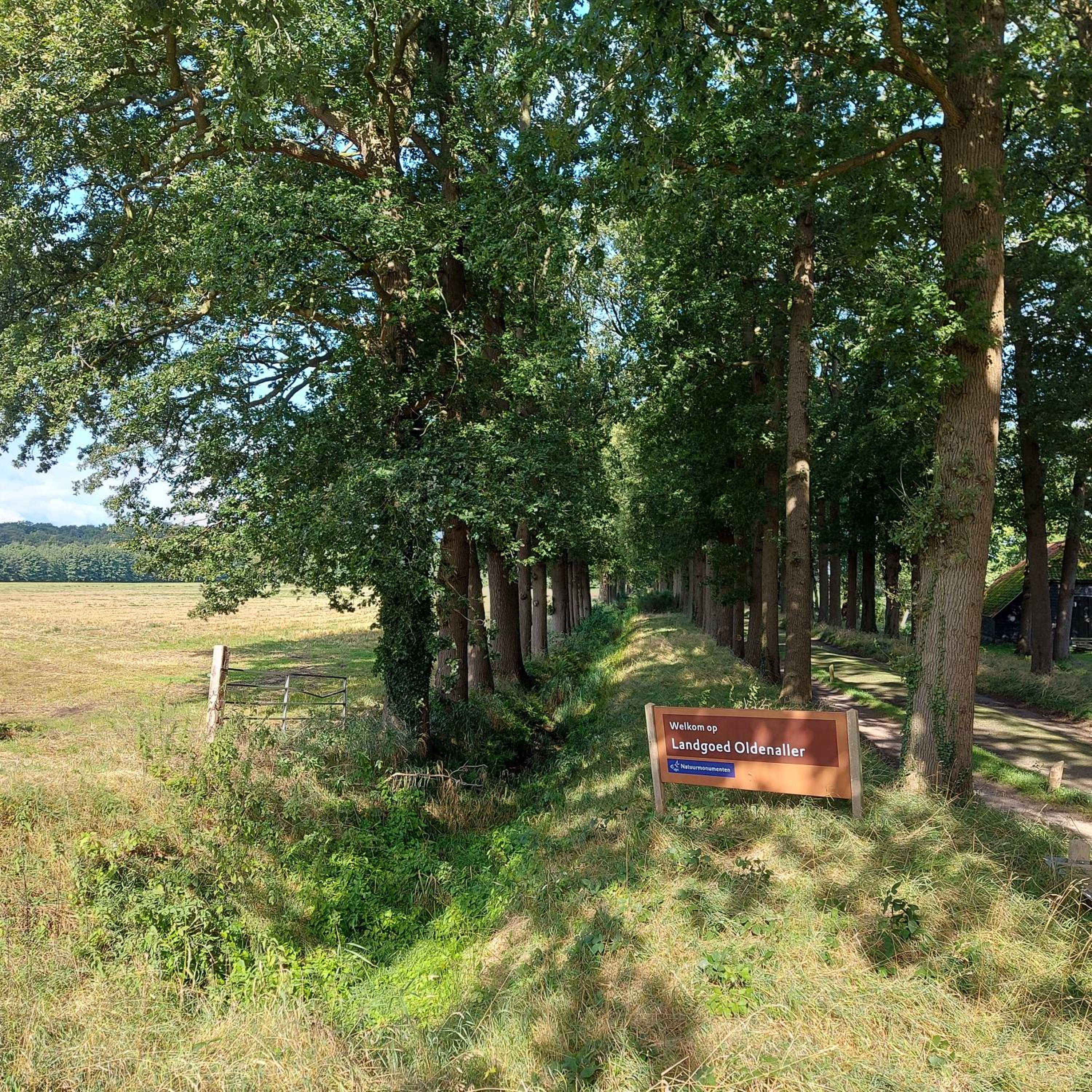 Bed & Breakfast Puur Natuur Putten, met privé sauna view 4