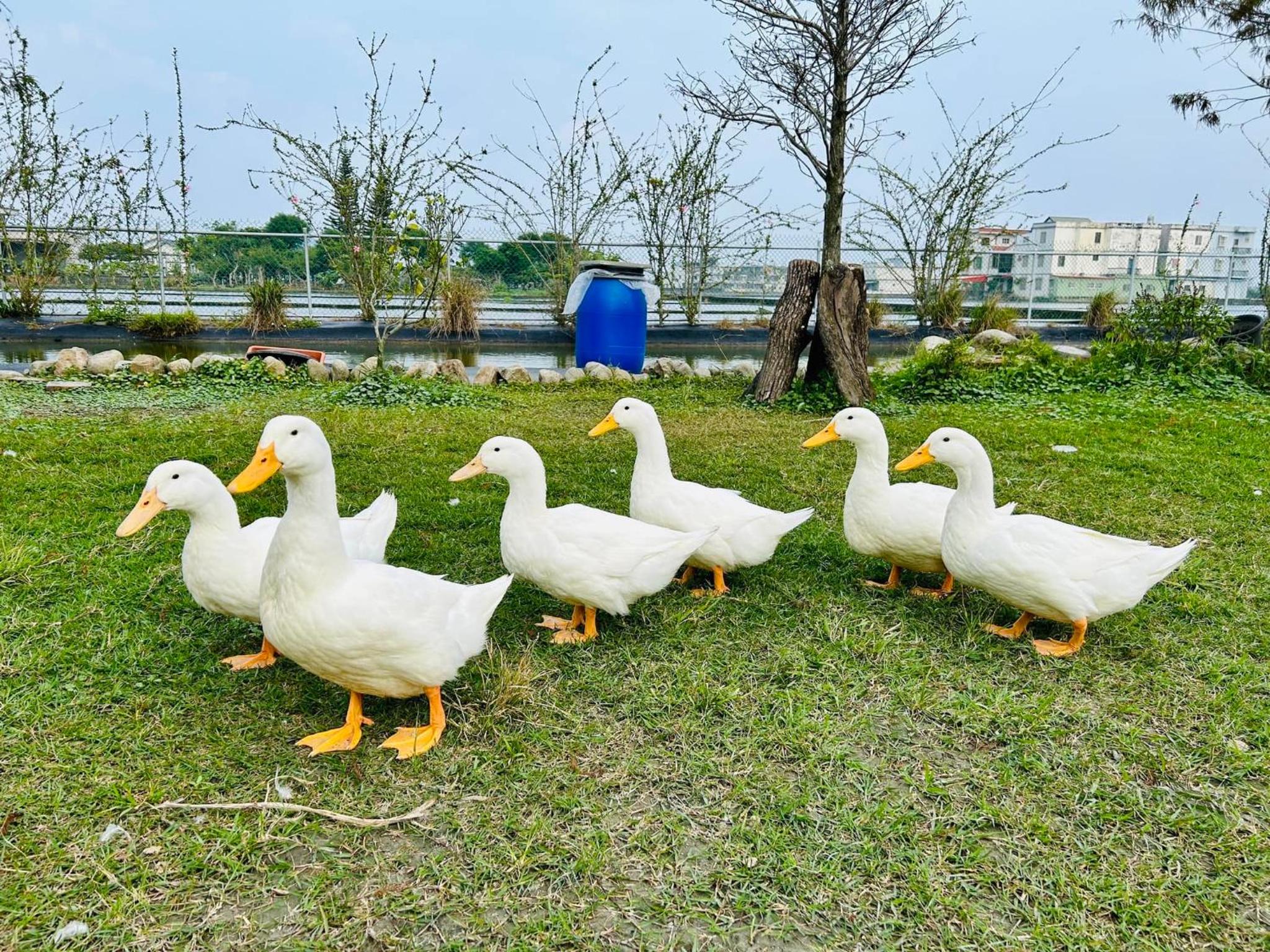 Tu Wei 192 Homestay