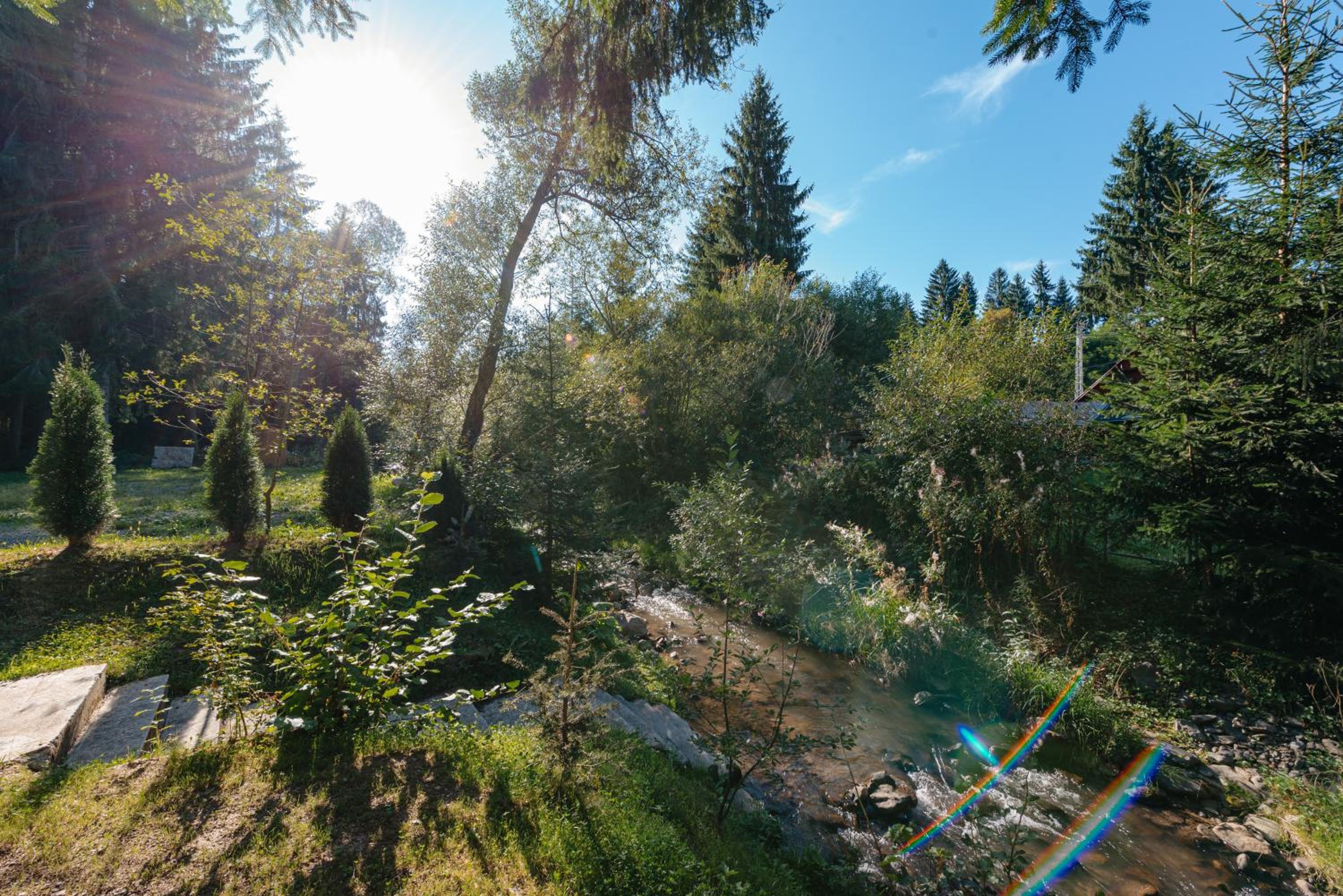 Cabana Natura Toplița