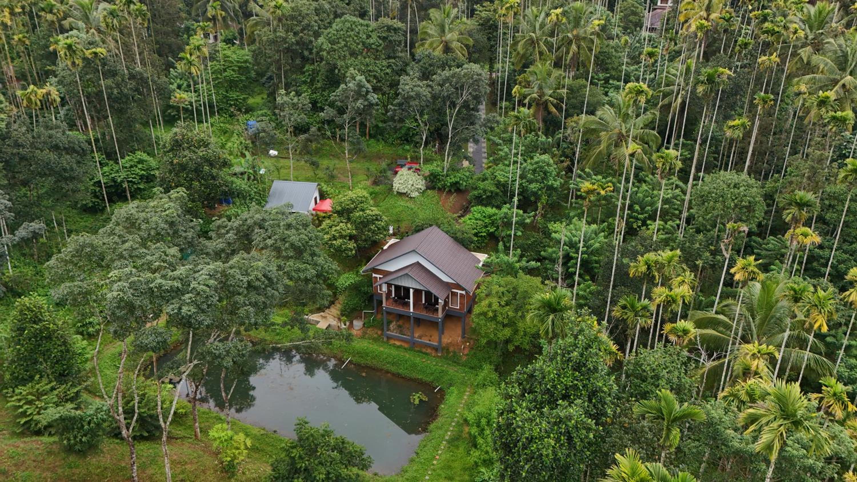 Casta Wild Homestay view 2