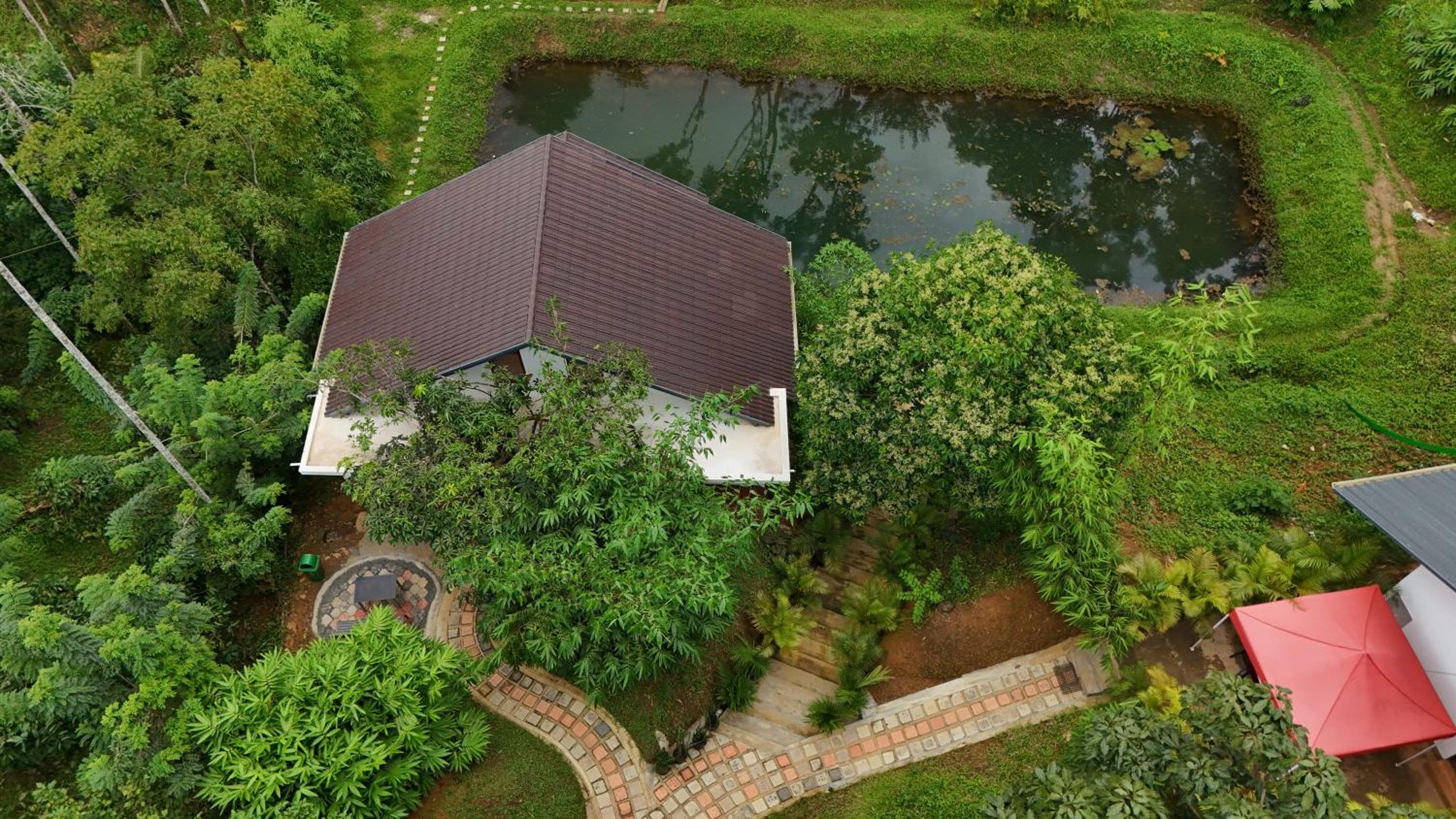 Casta Wild Homestay view 5