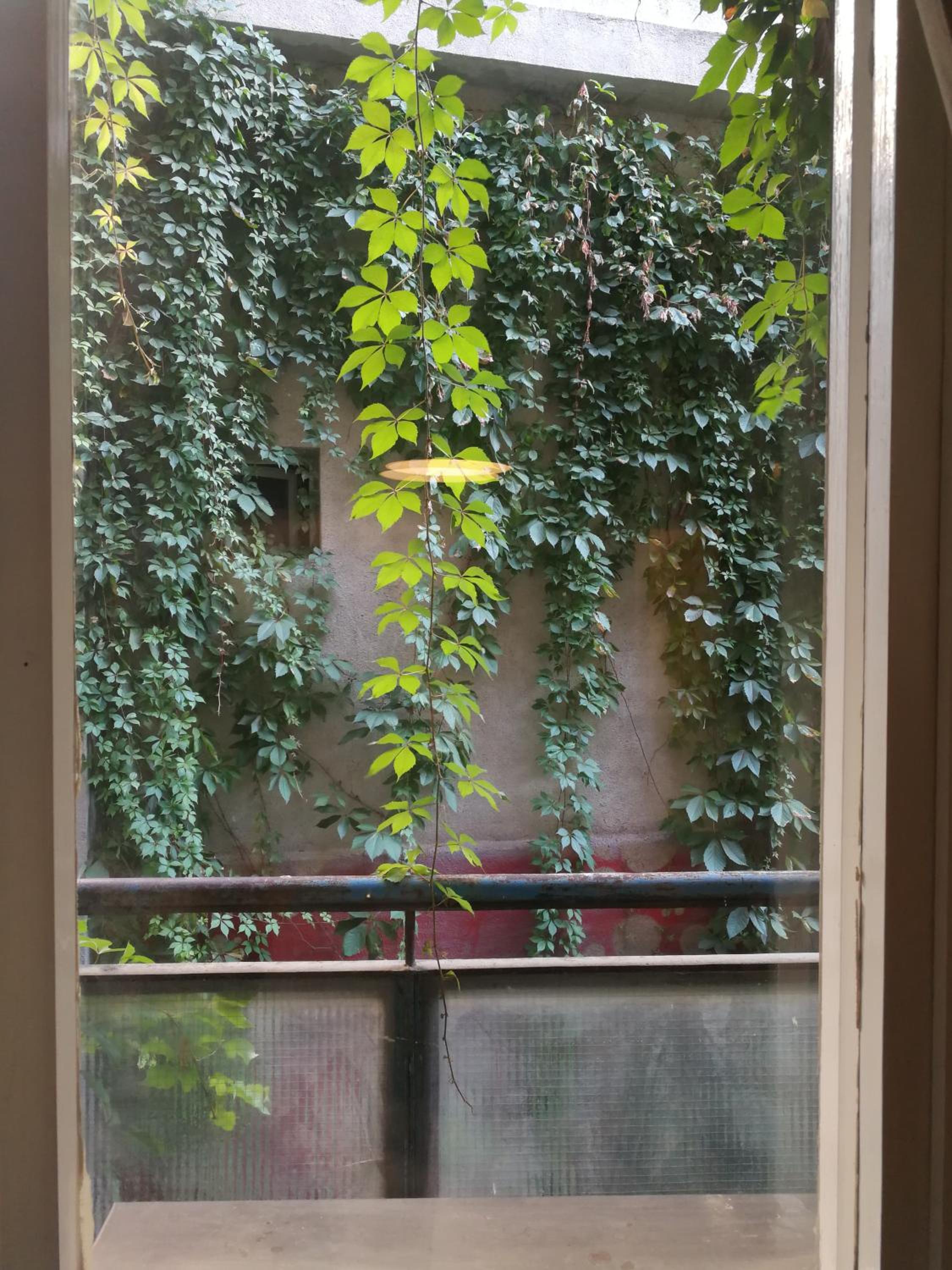 Apartman Barbarosa - Balcony, Belgrade Center, Kalemegdan