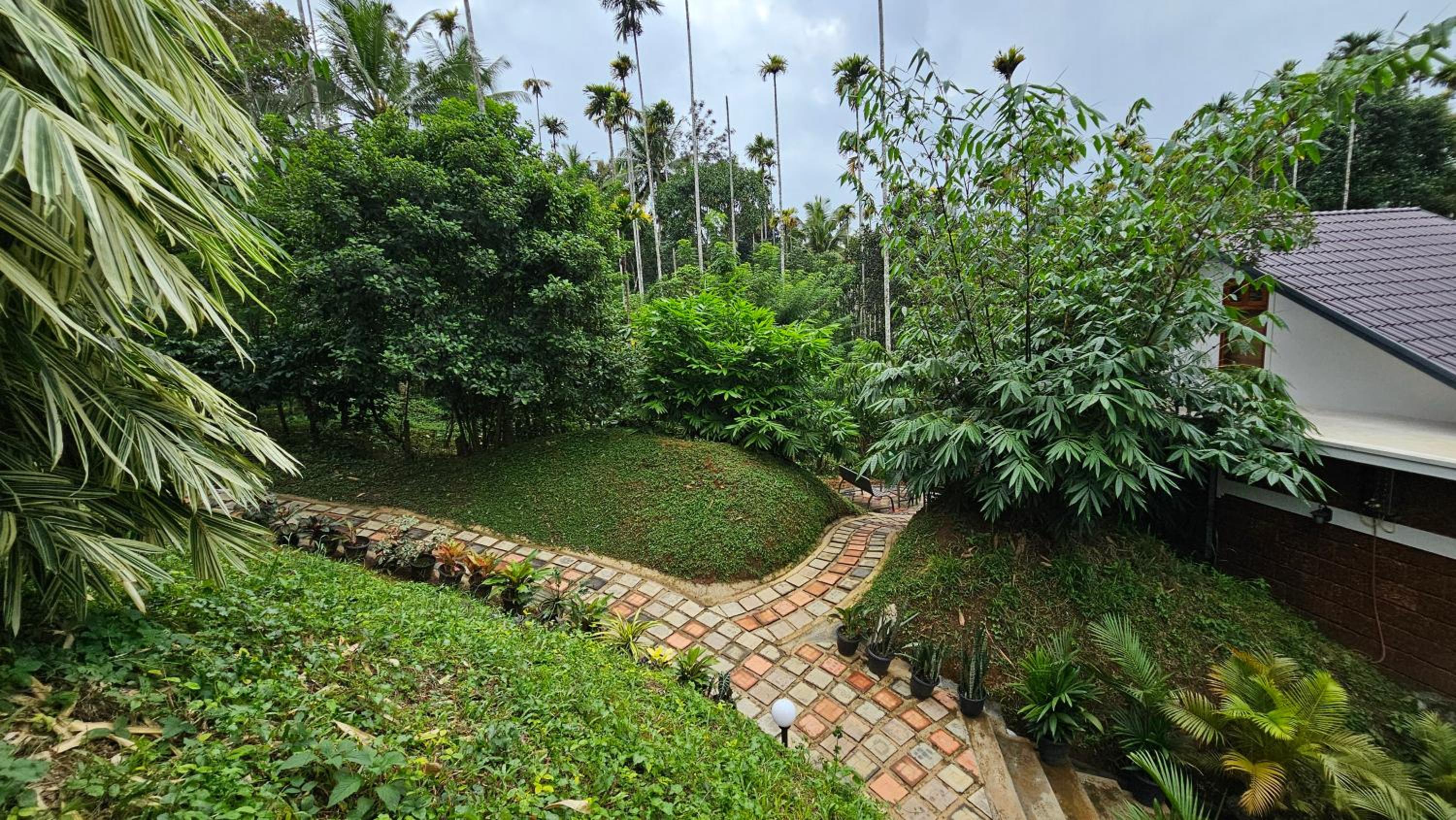 Photo 16