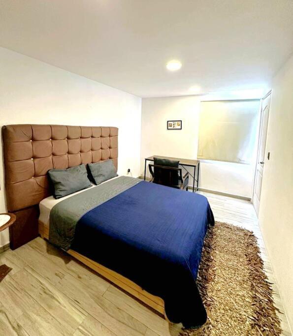 Calm and cozy apartment in Condesa photo 2