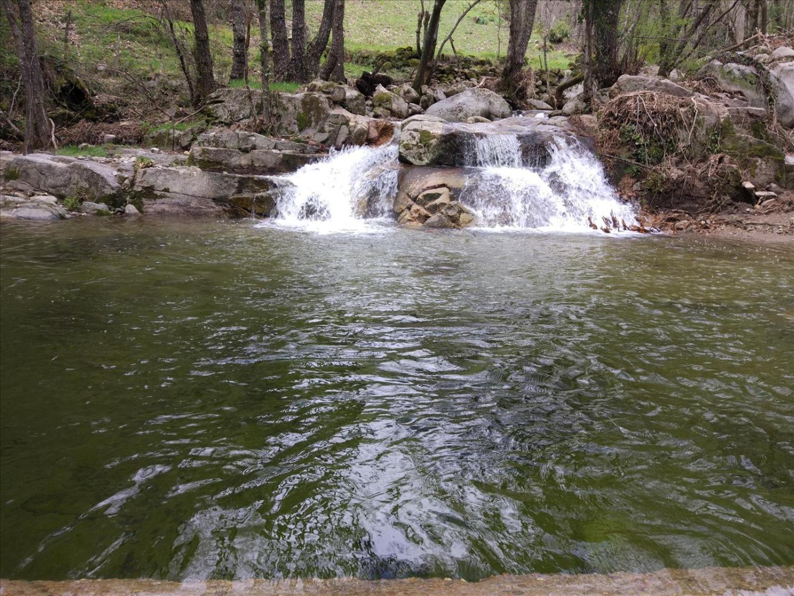 Photo 38