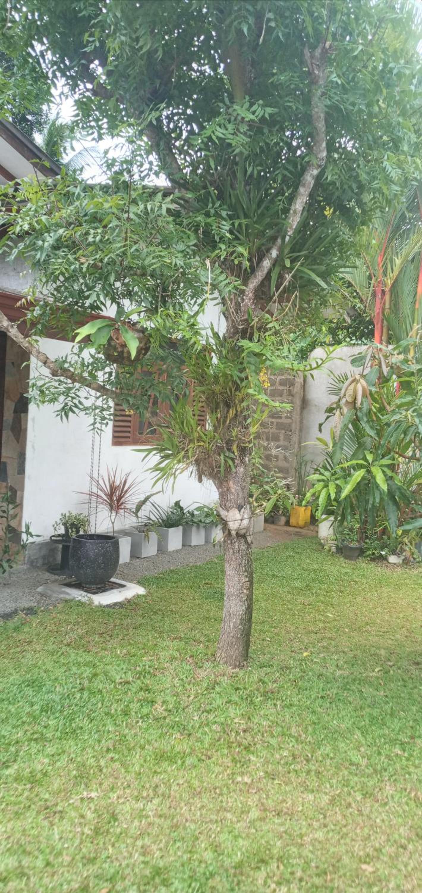 HIKKA LAK RAN VILLA