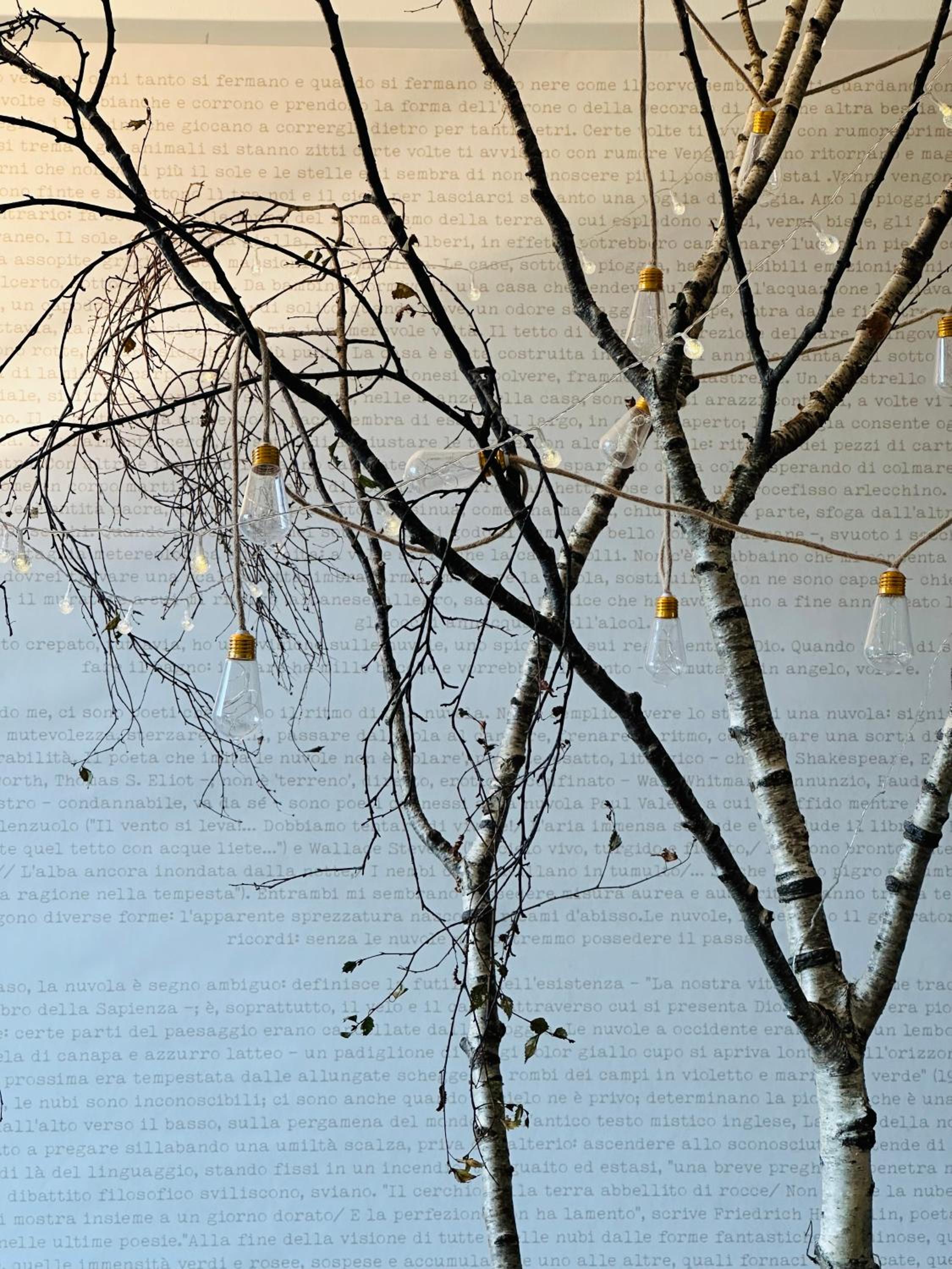 Liberty House photo 4