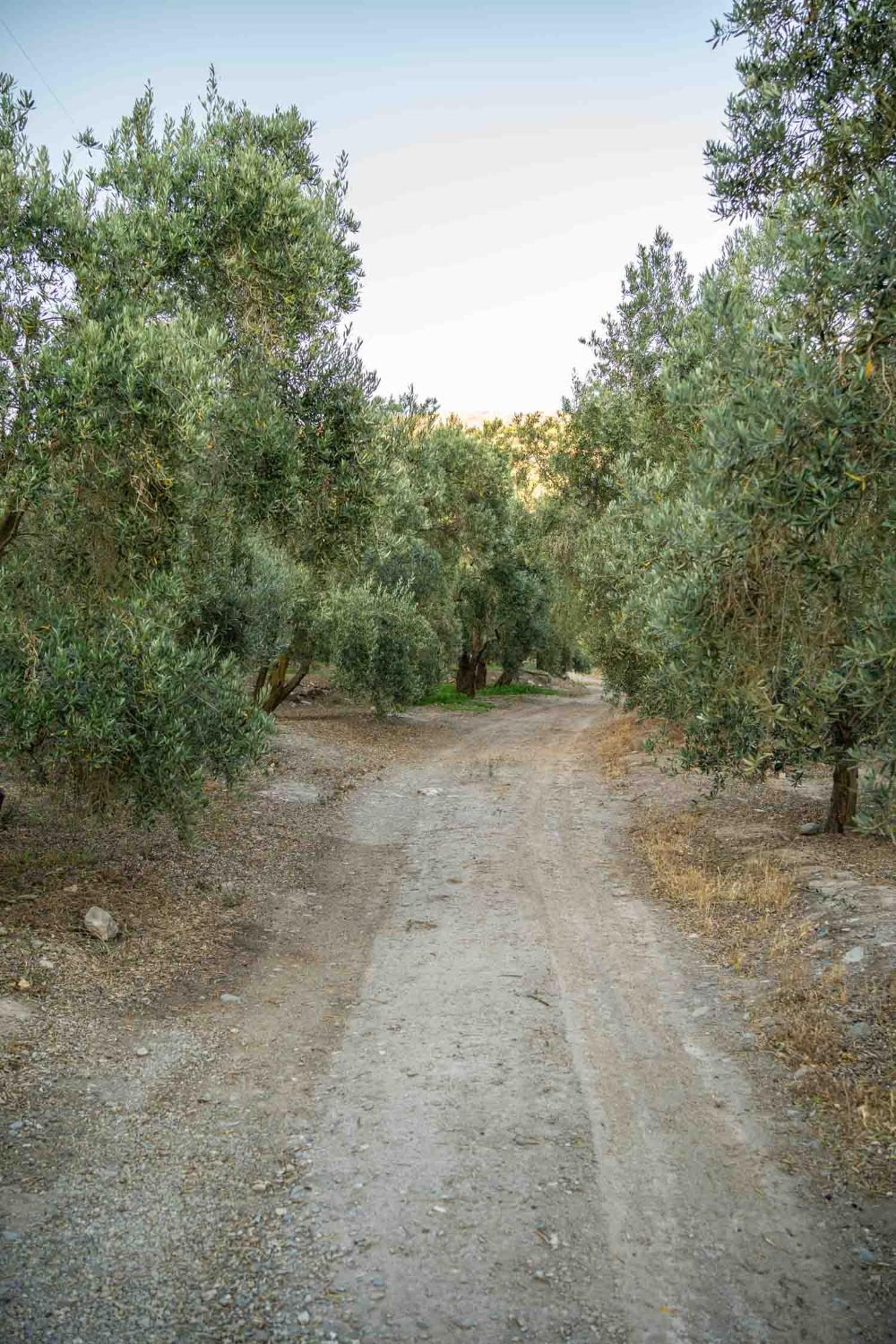 Villa Natura un Paraíso en la Alpujarra Almeriense