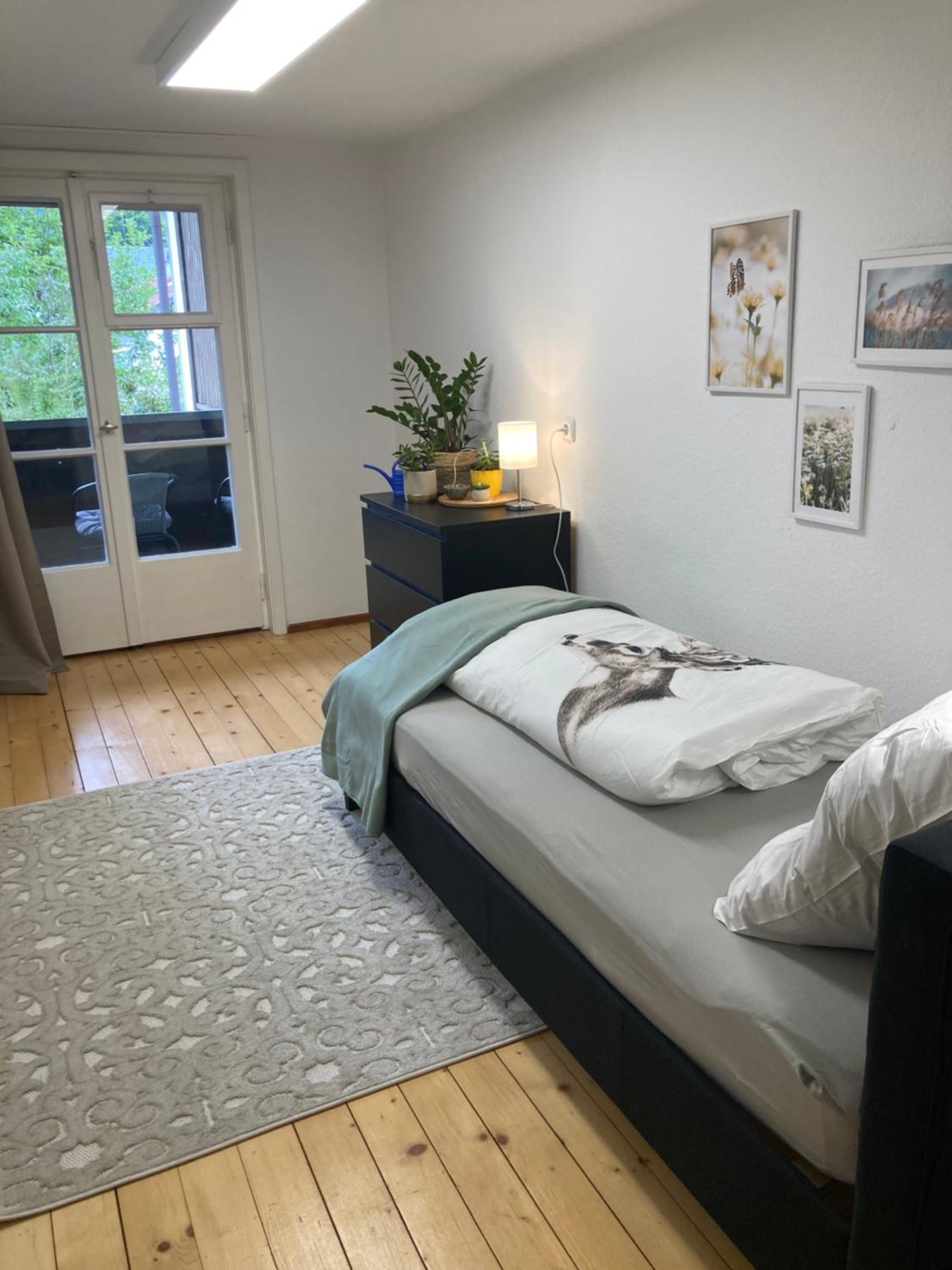 Eistänzer Nest