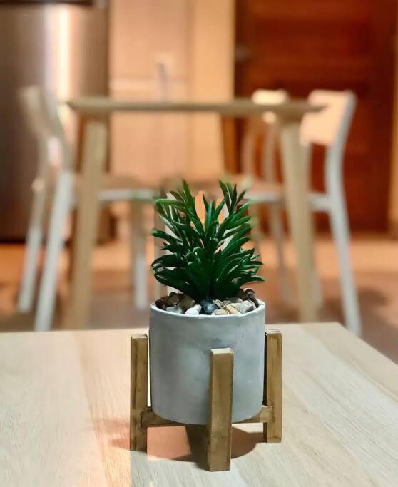 Moderno y acogedor apartamento