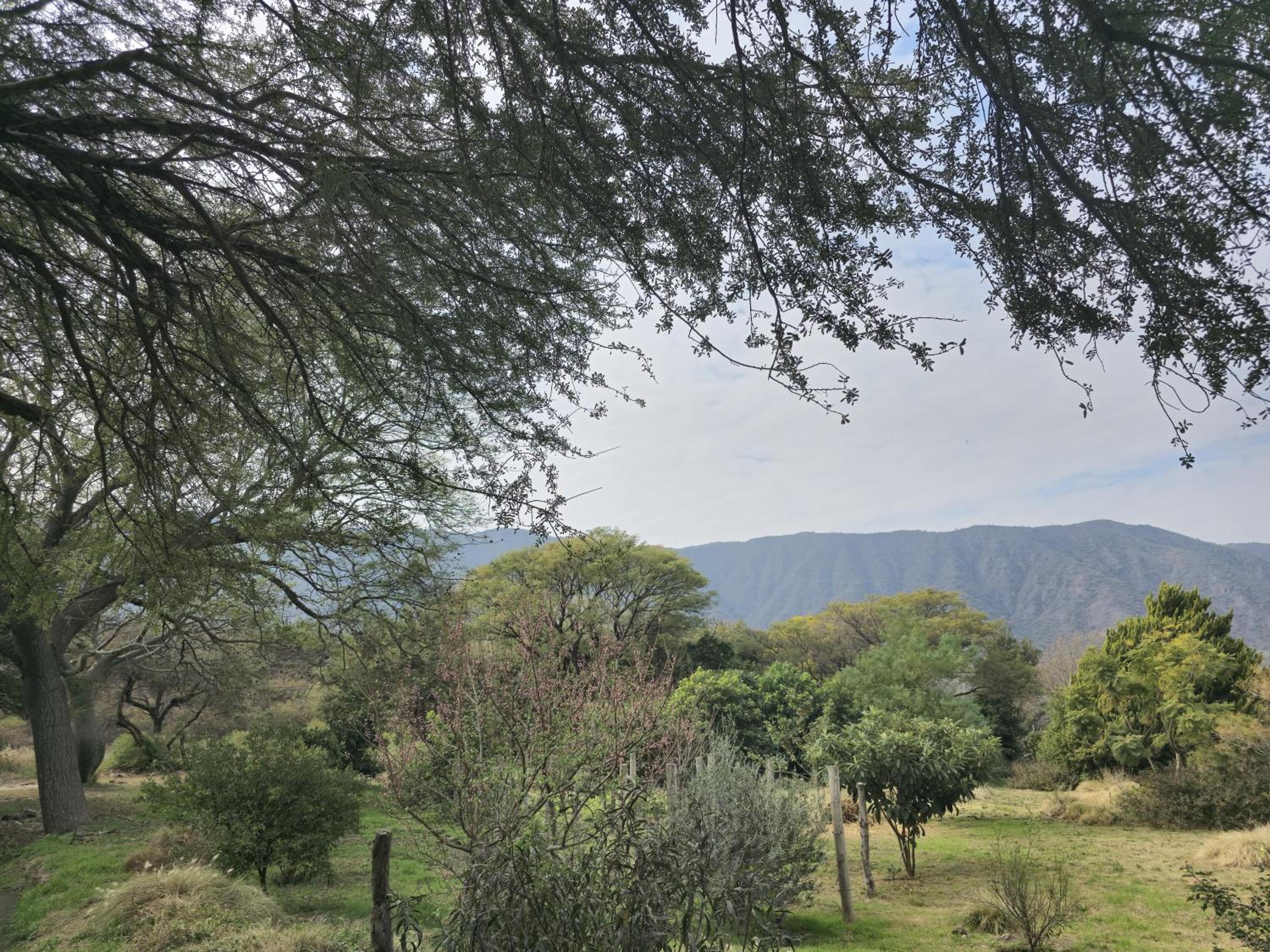 Pomancillo Ecolodge