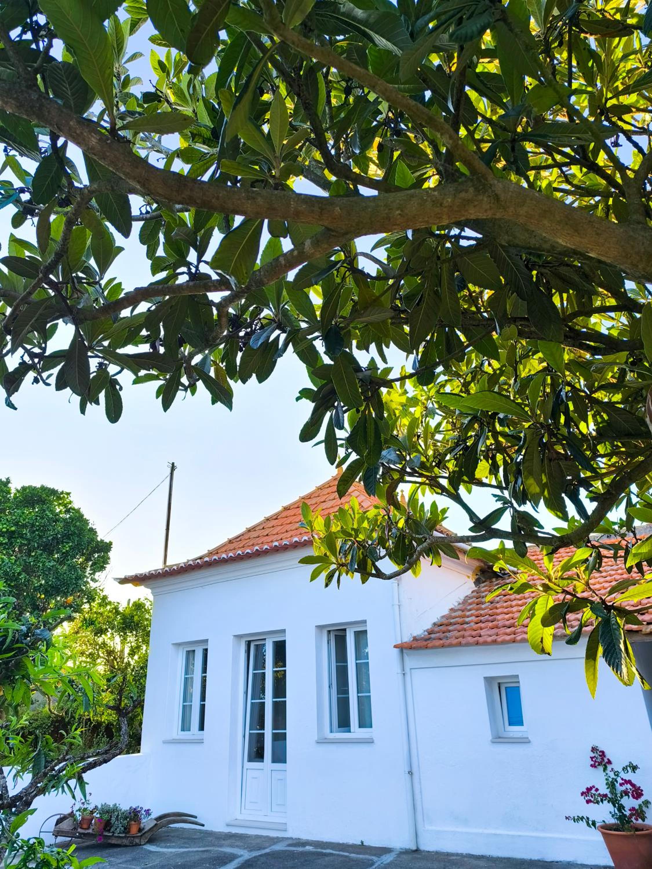 Casa do Camondo view 3
