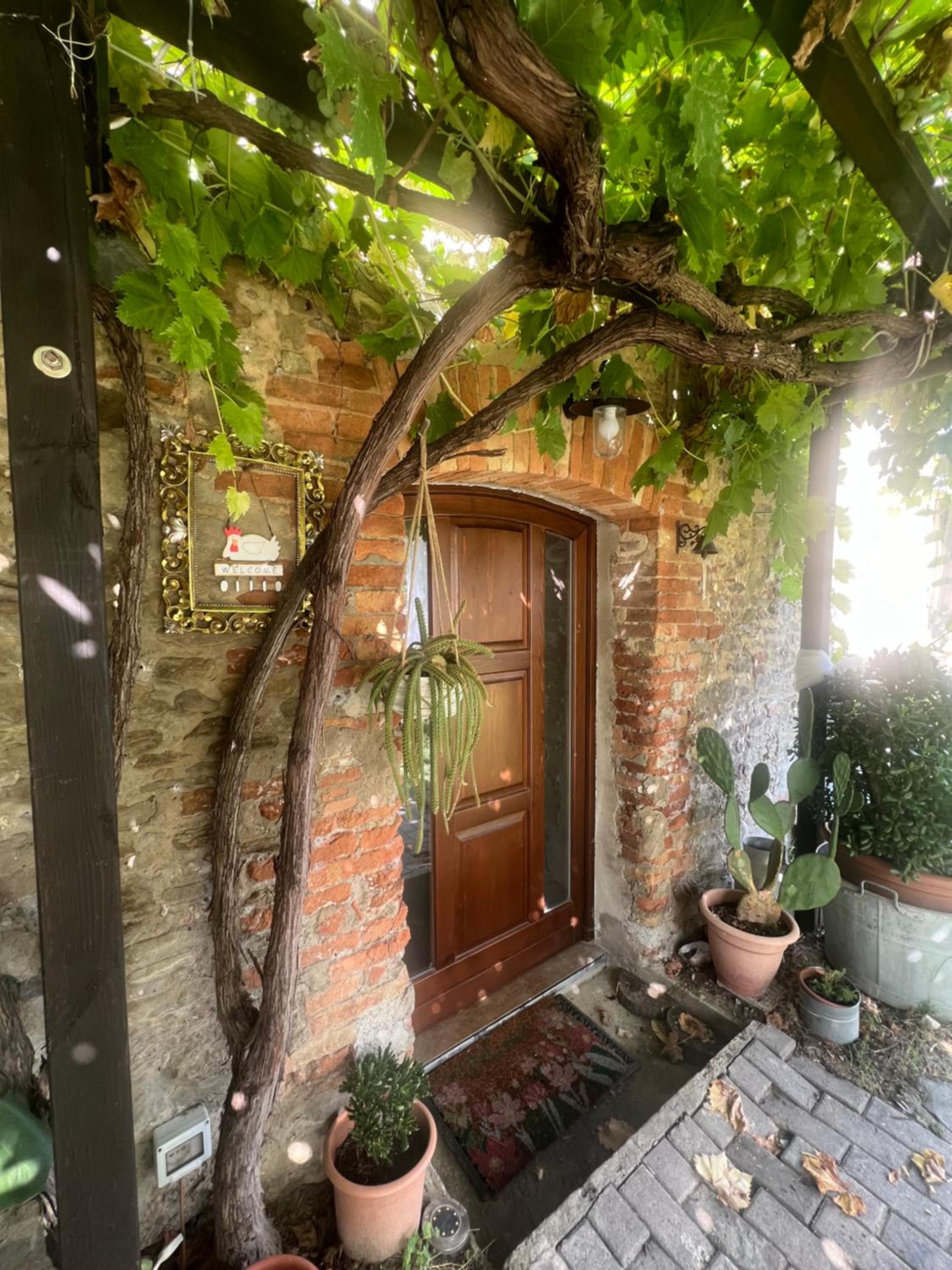 Podere Canova d' Orlando "Alchemic House" view 2