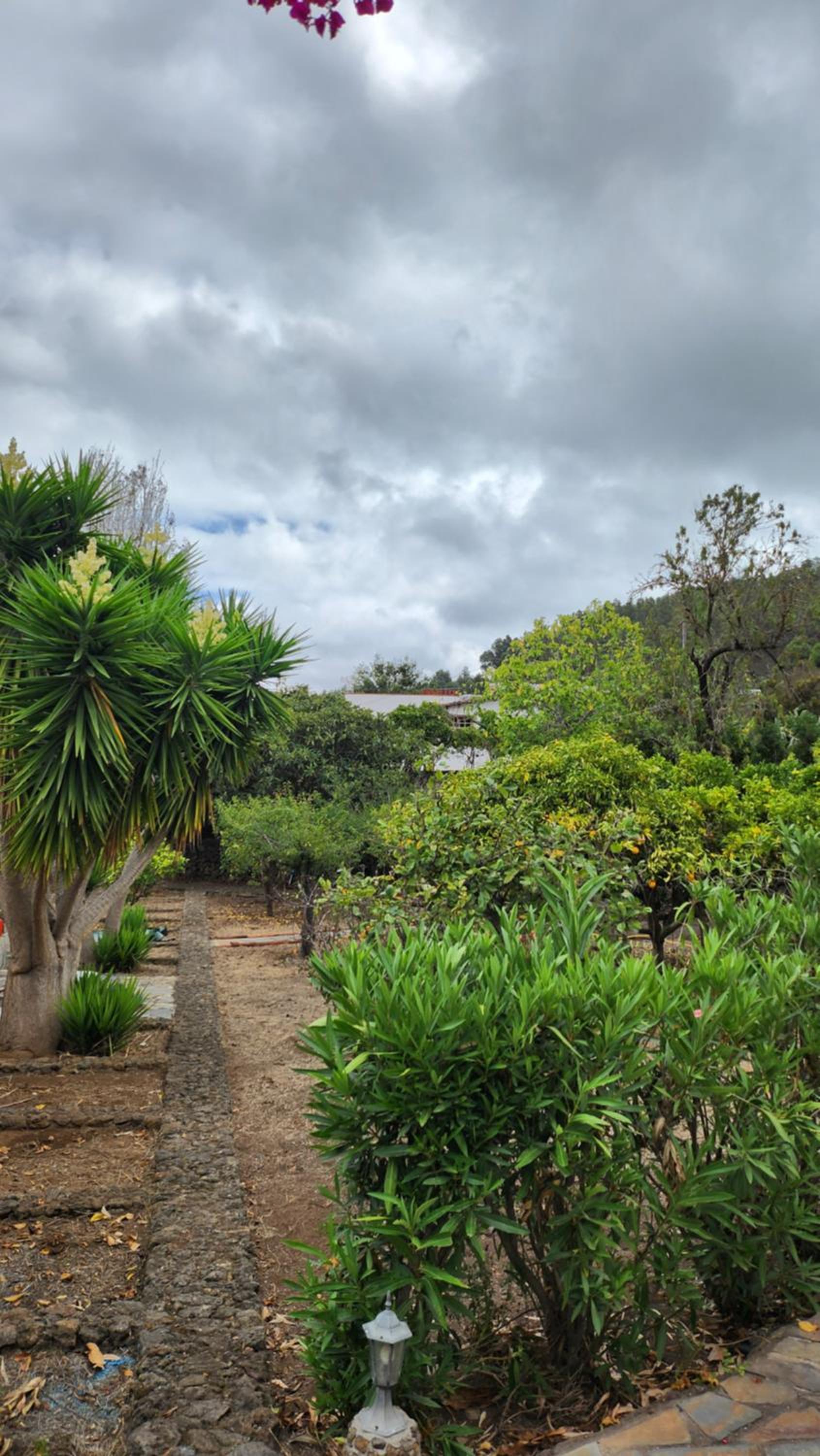 Oasis Hill Botanical Garden