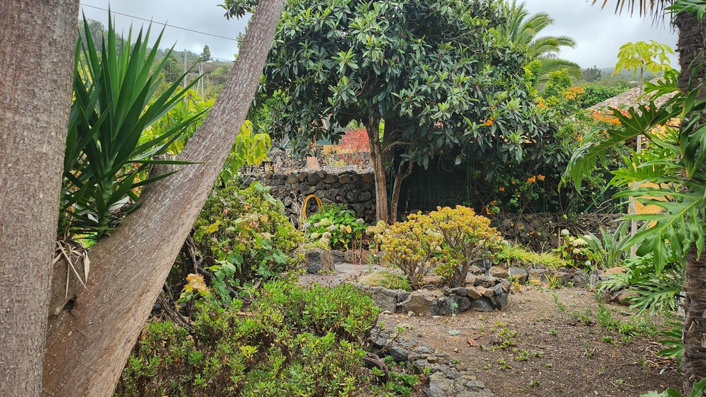Oasis Hill Botanical Garden