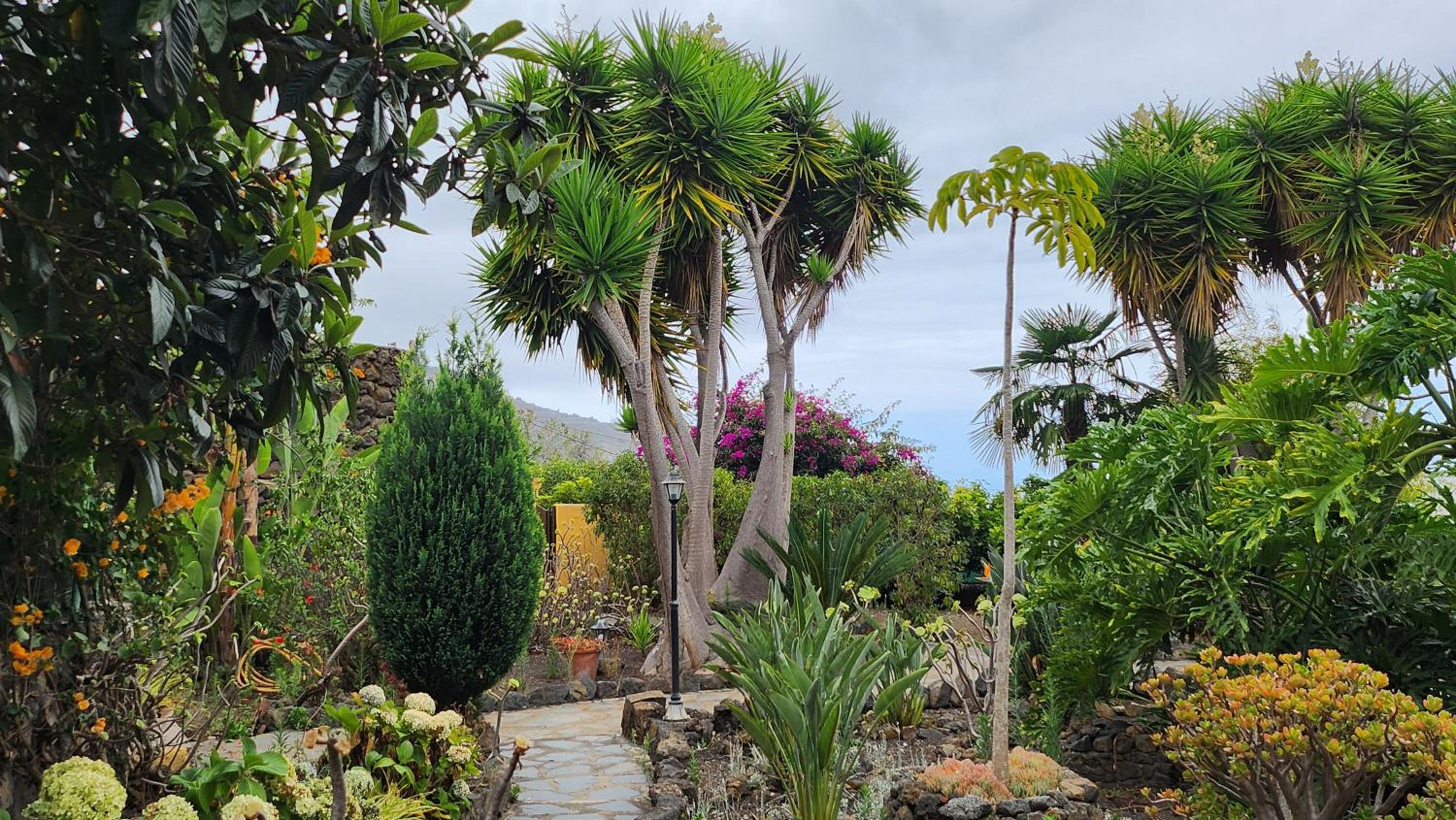 Oasis Hill Botanical Garden