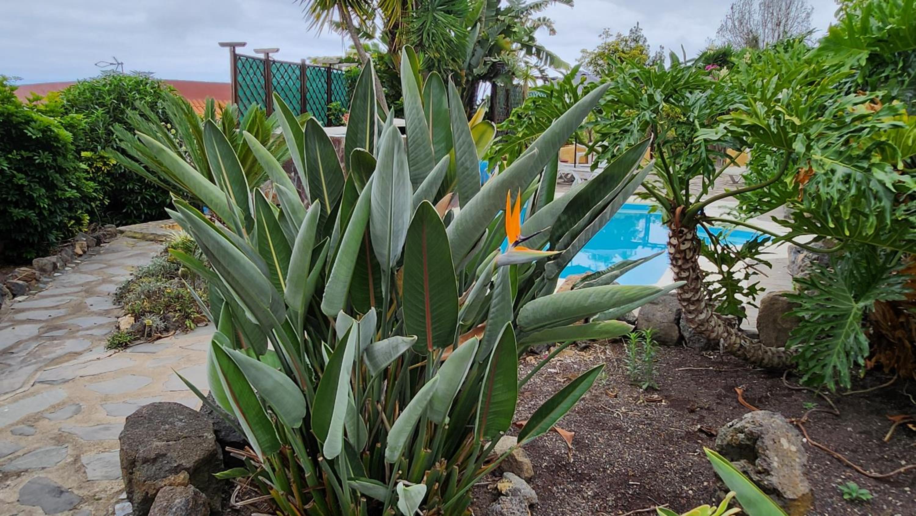 Oasis Hill Botanical Garden