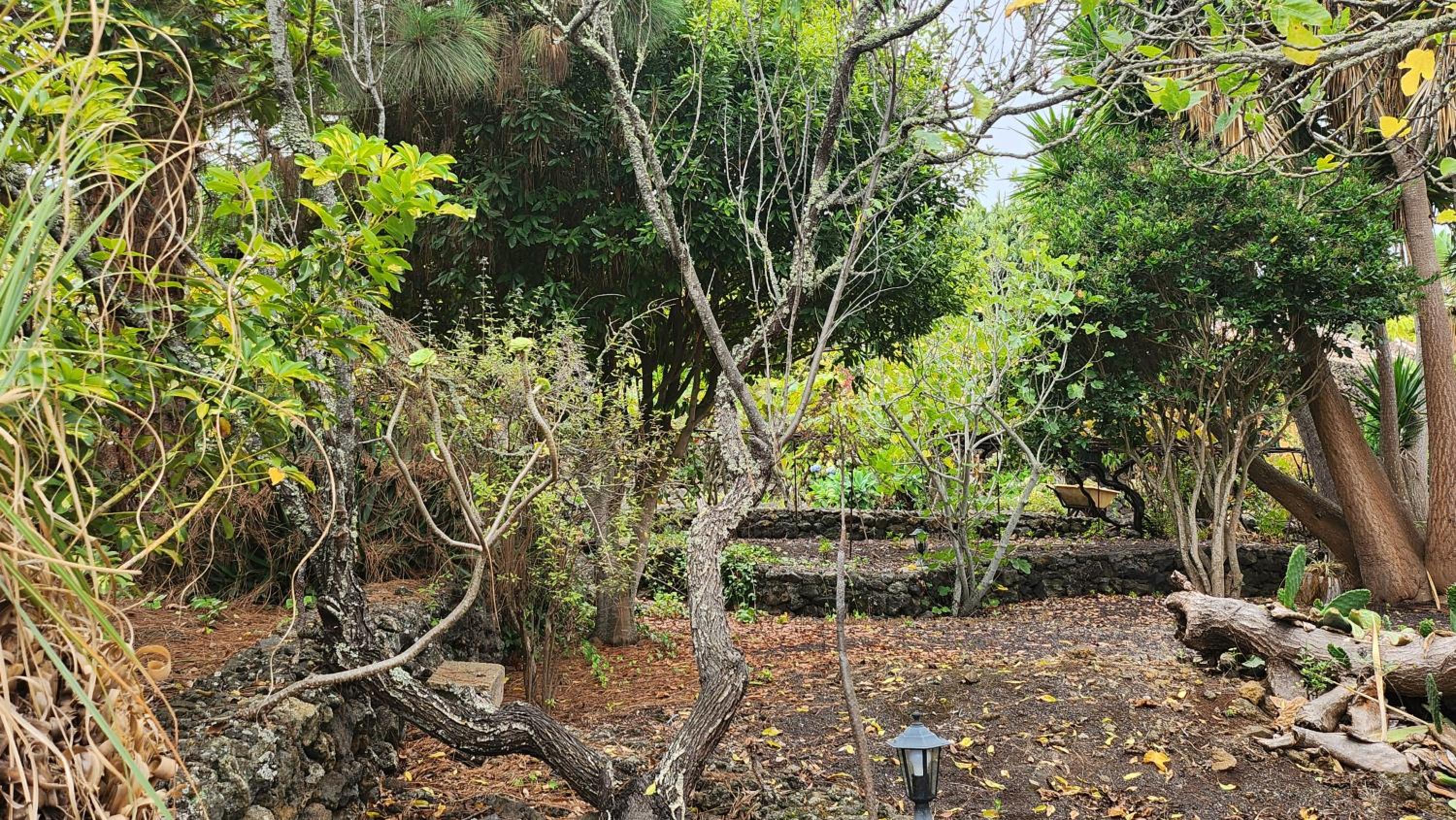 Oasis Hill Botanical Garden