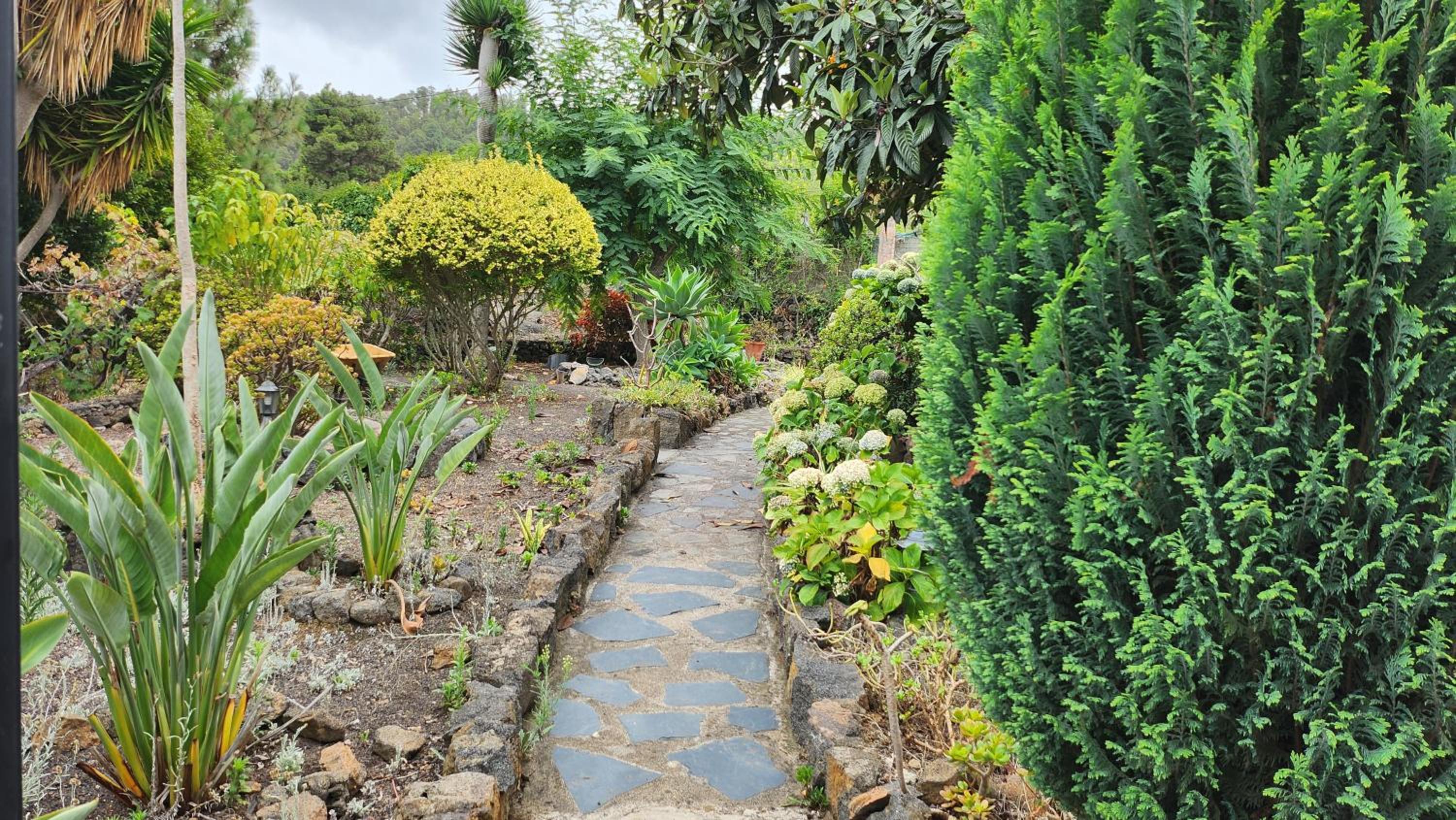 Oasis Hill Botanical Garden