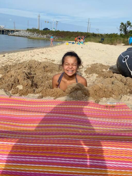 The Sandy Seashell