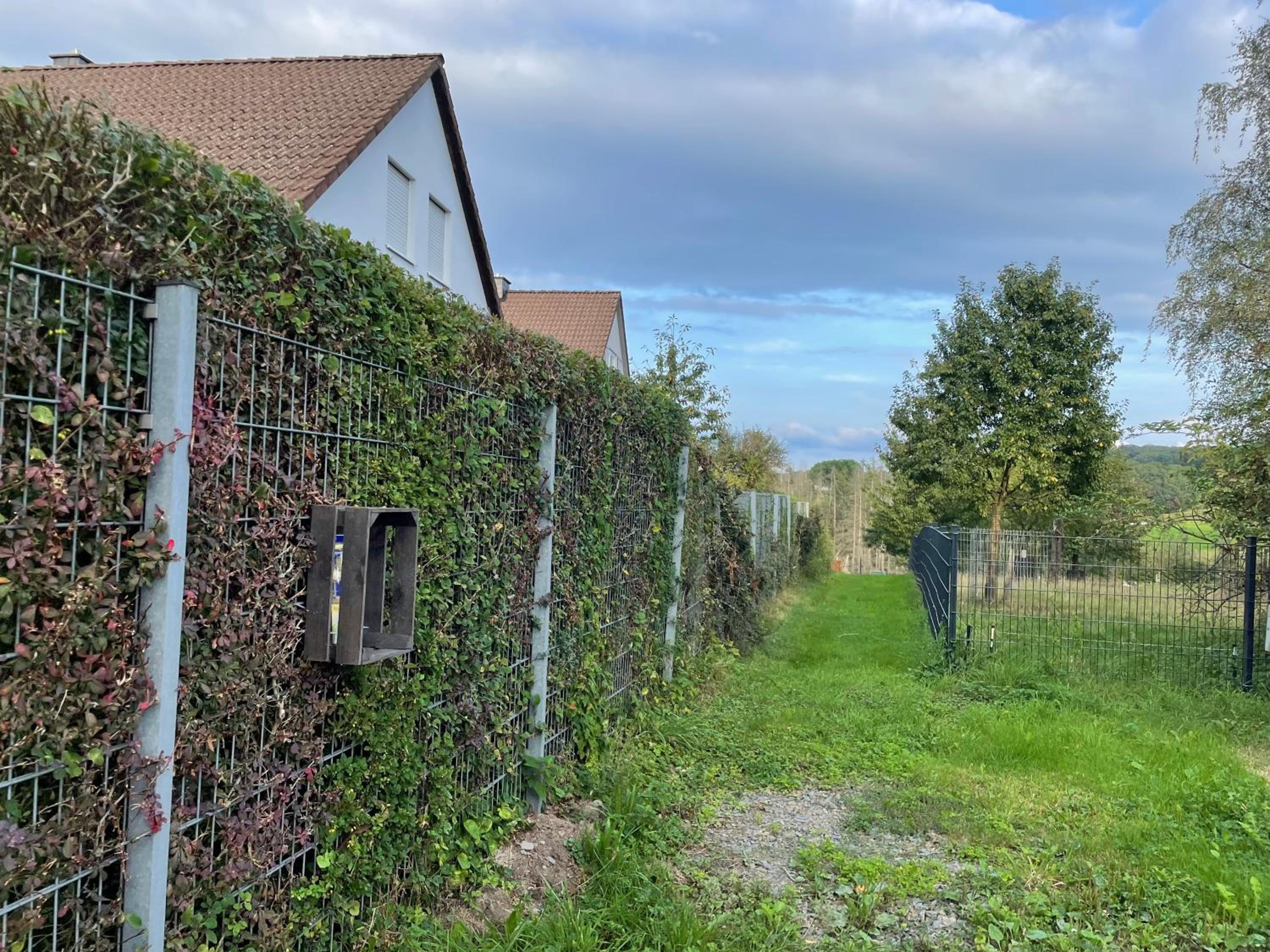 Fewo Landliebe