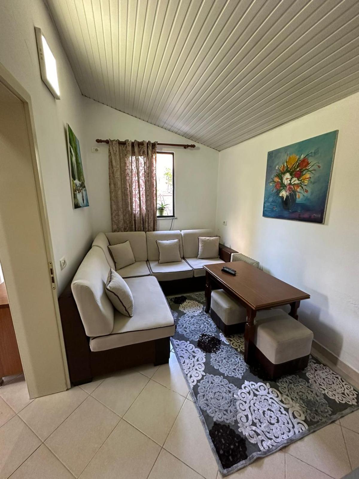 Friendly dogs house