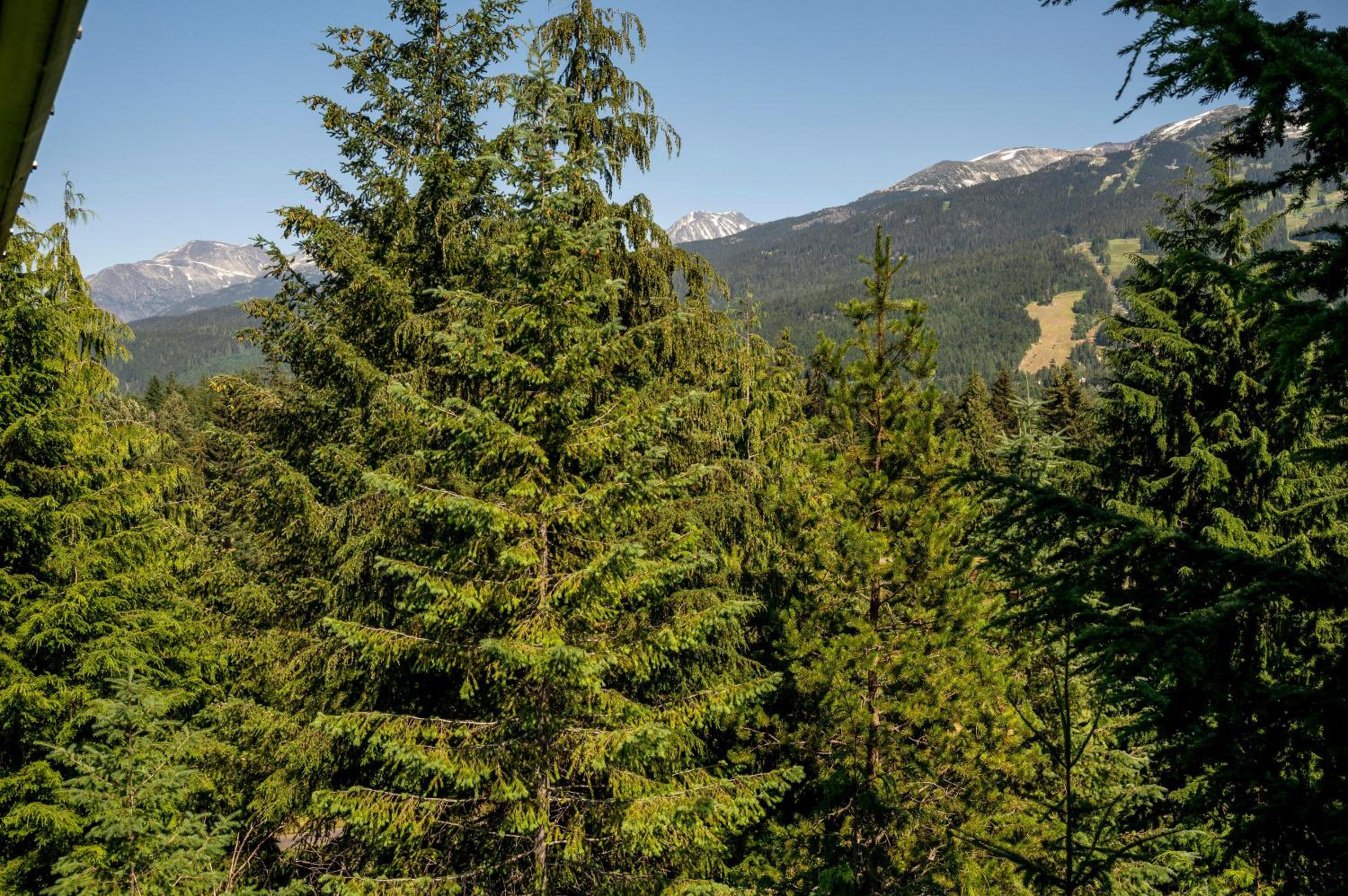 Nighthawk 3335 | Contemporary Townhome with Hot Tub and Stunning Mountain Views