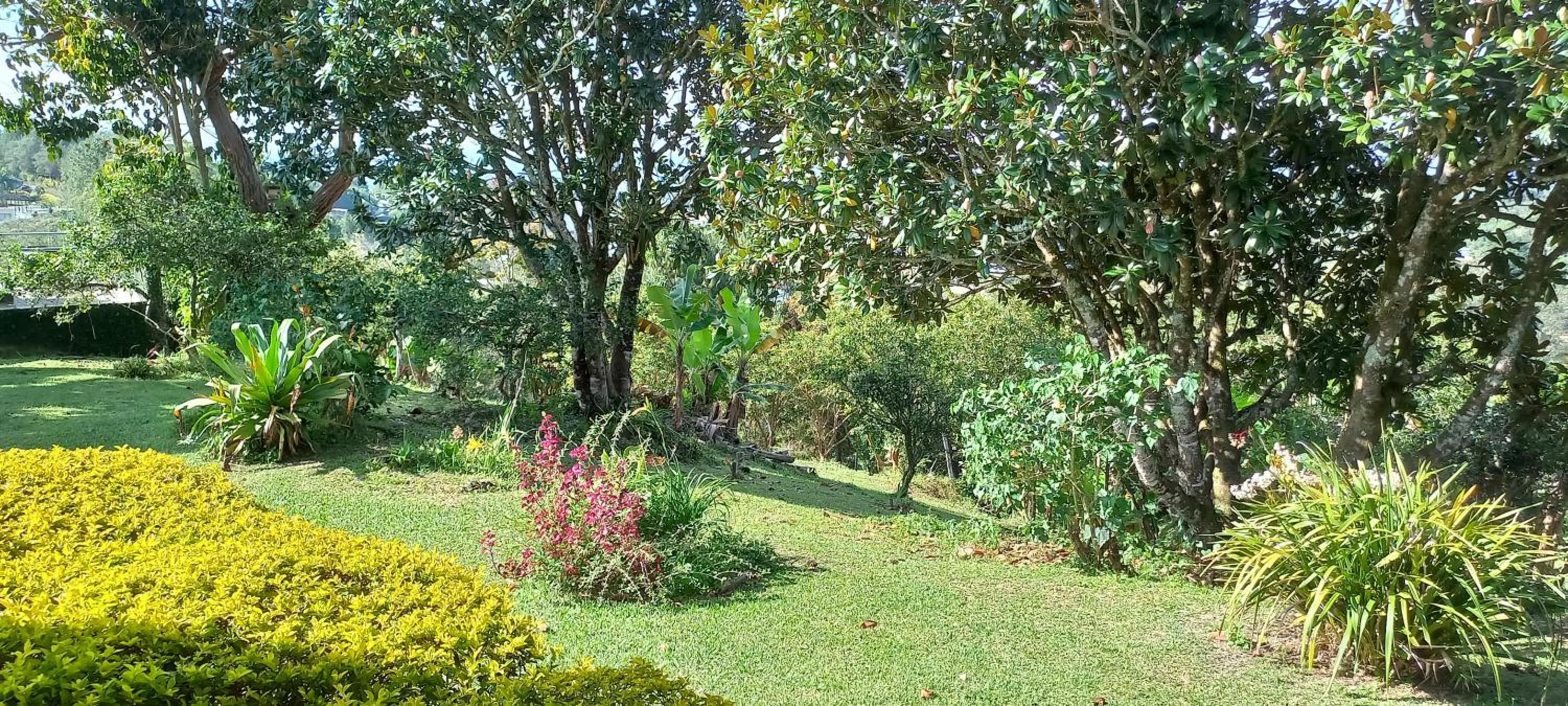 Casa de Campo PREMIUN
